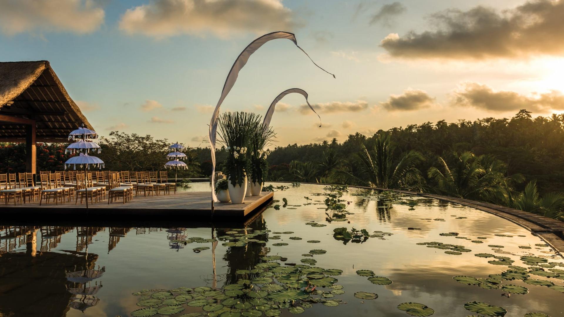 Lotus Pond