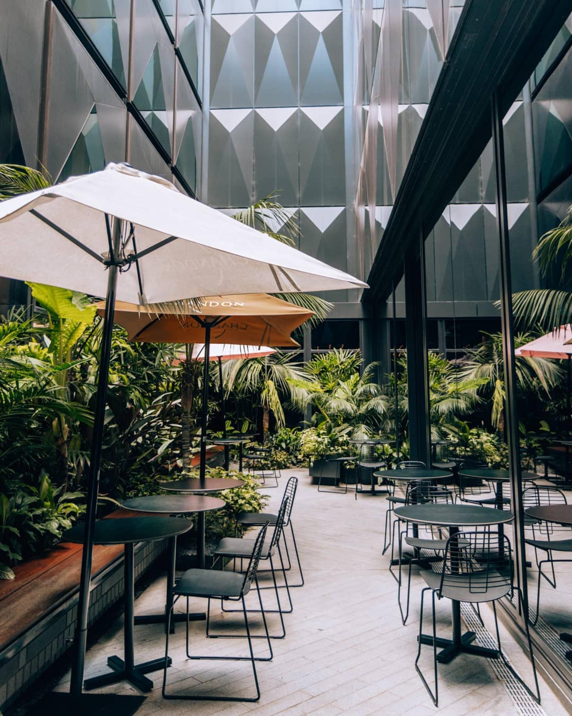 Dining + Atrium