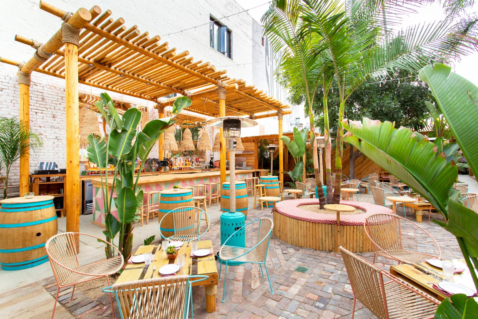 Full Buyout of De Buena Planta - Silver Lake
