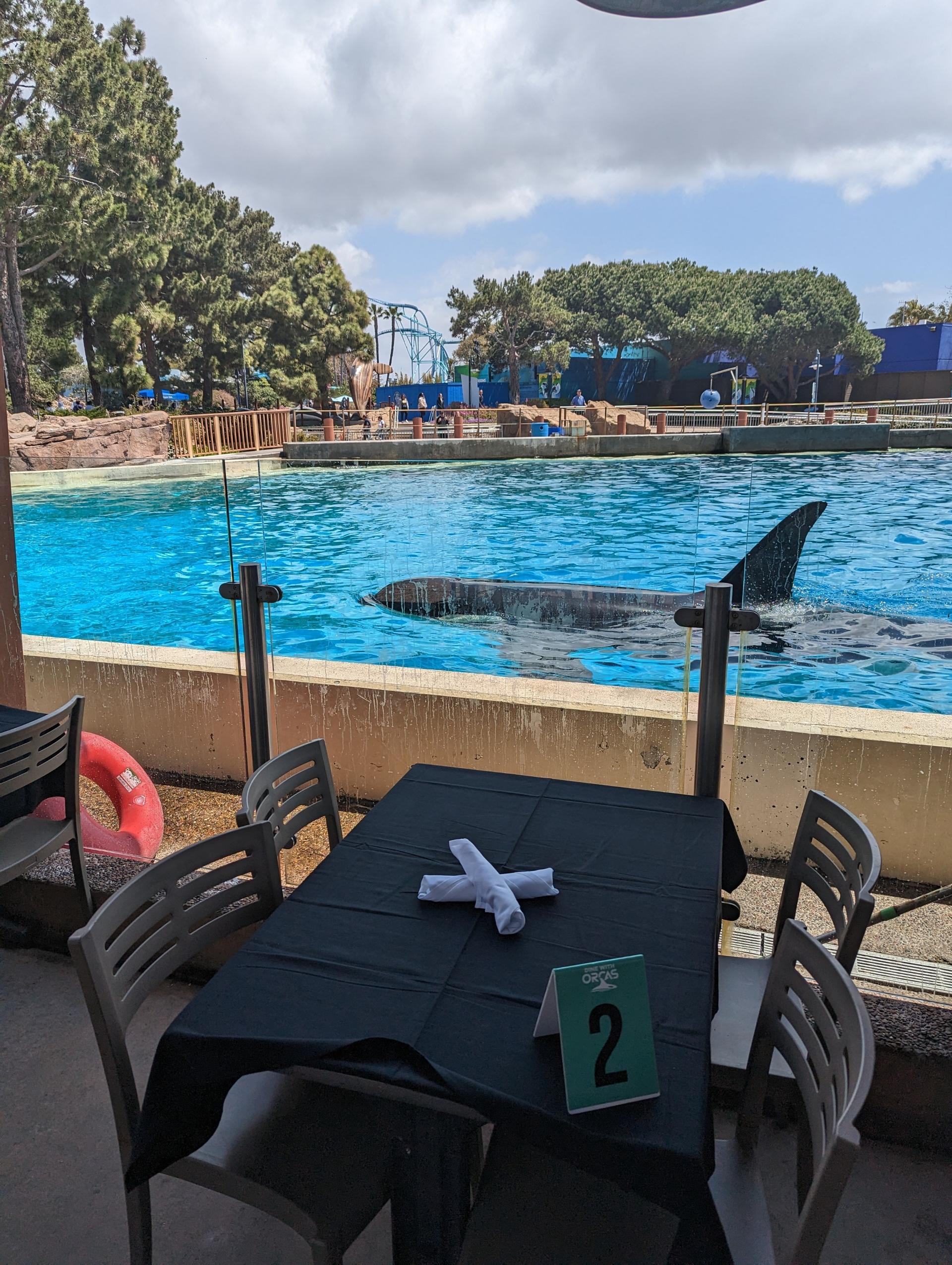 Dine with Orcas