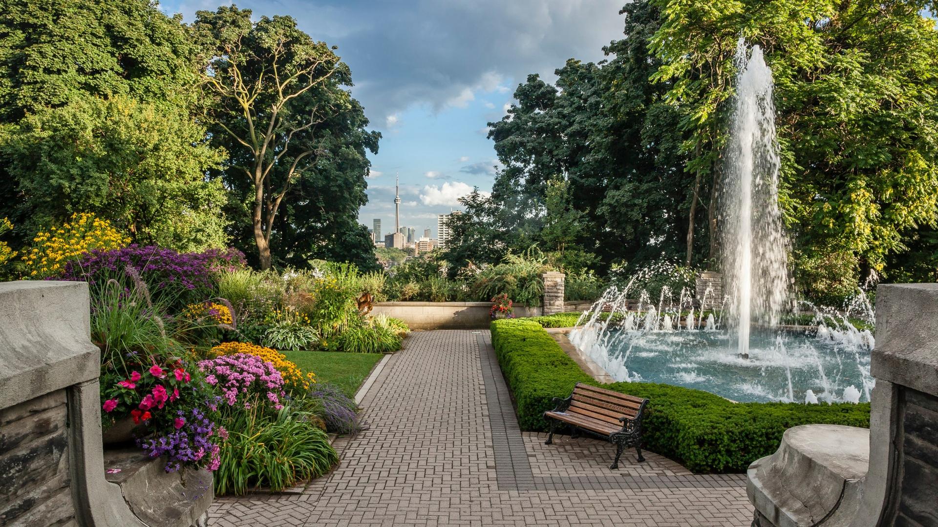 Terrace & Garden