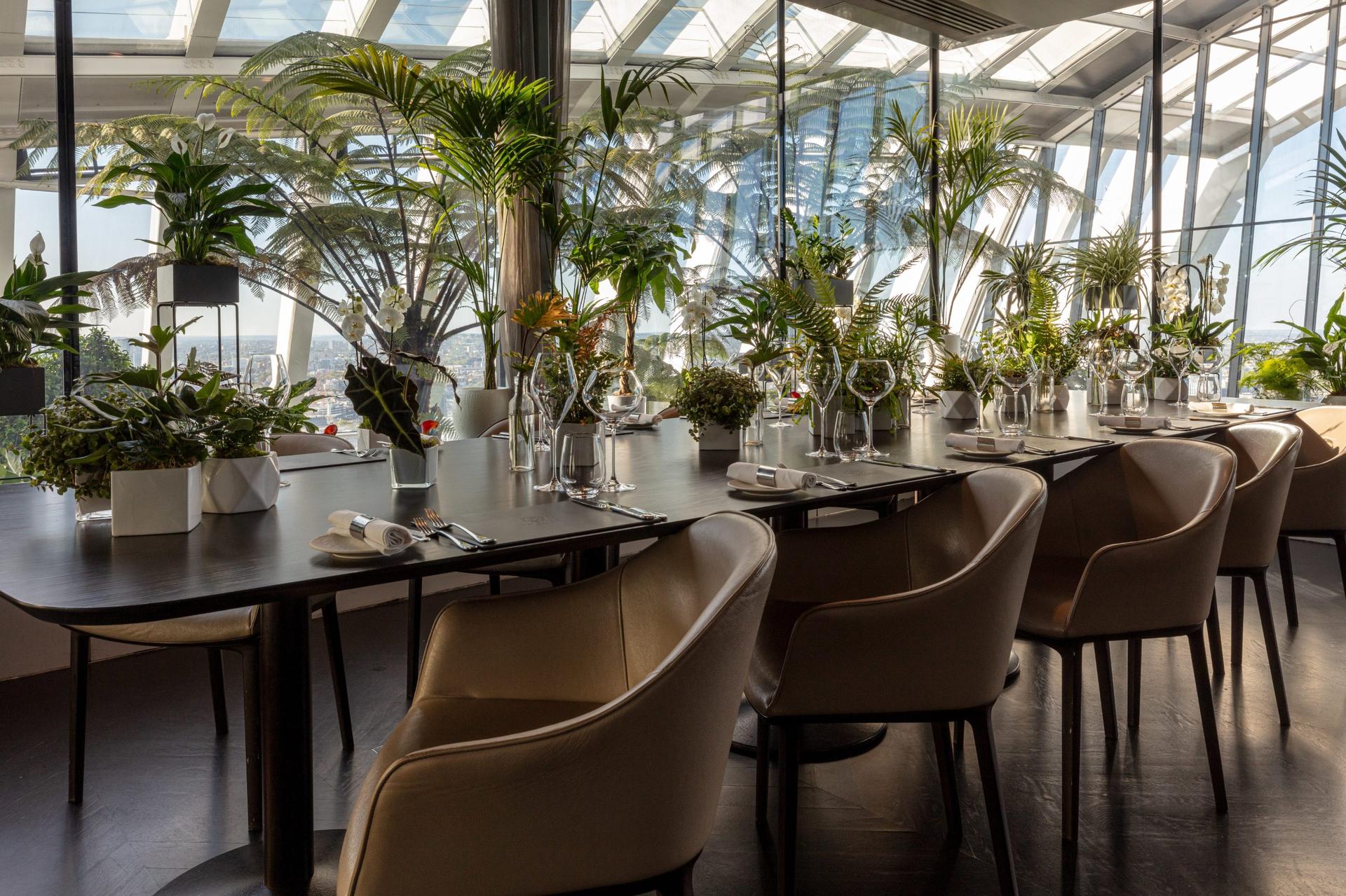 Viñoly Room