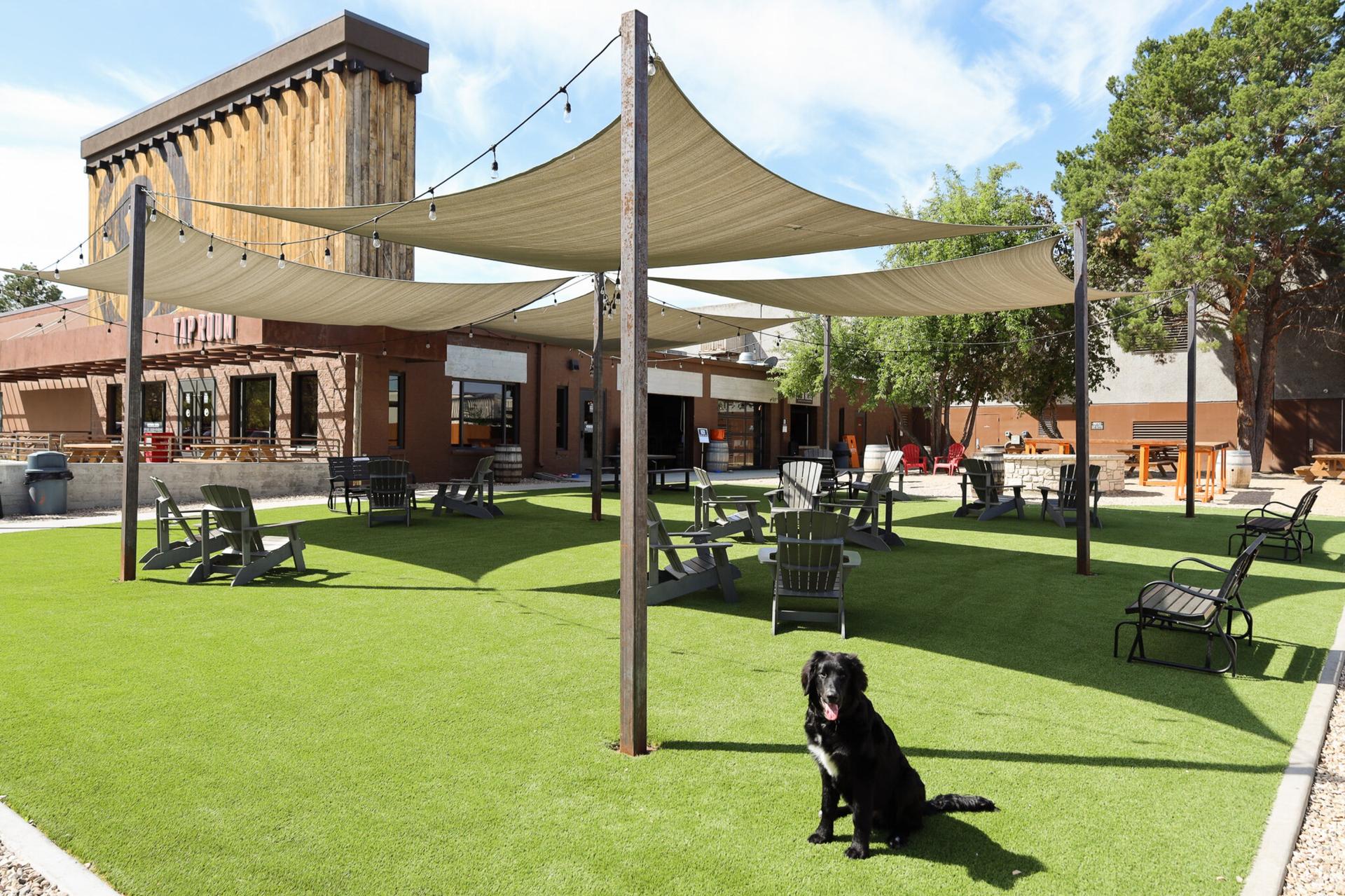 Beer Garden