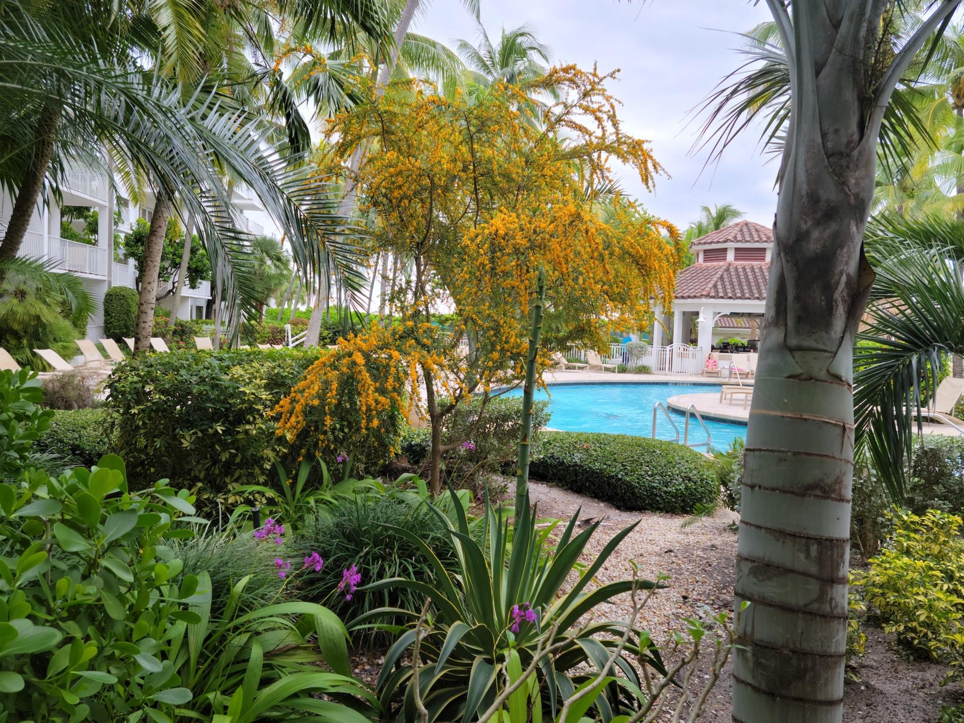 Loggia Garden