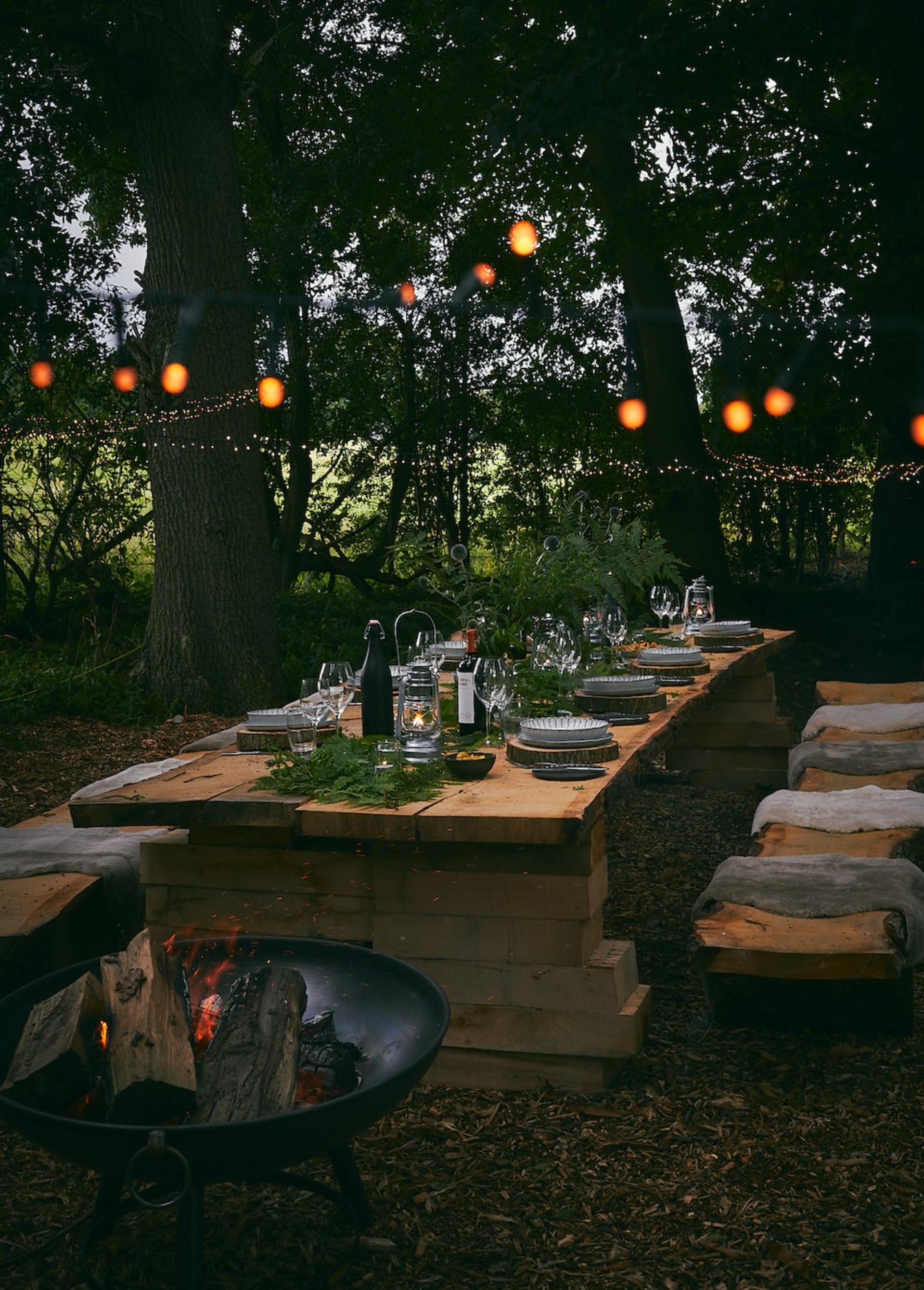 Wild Dining
