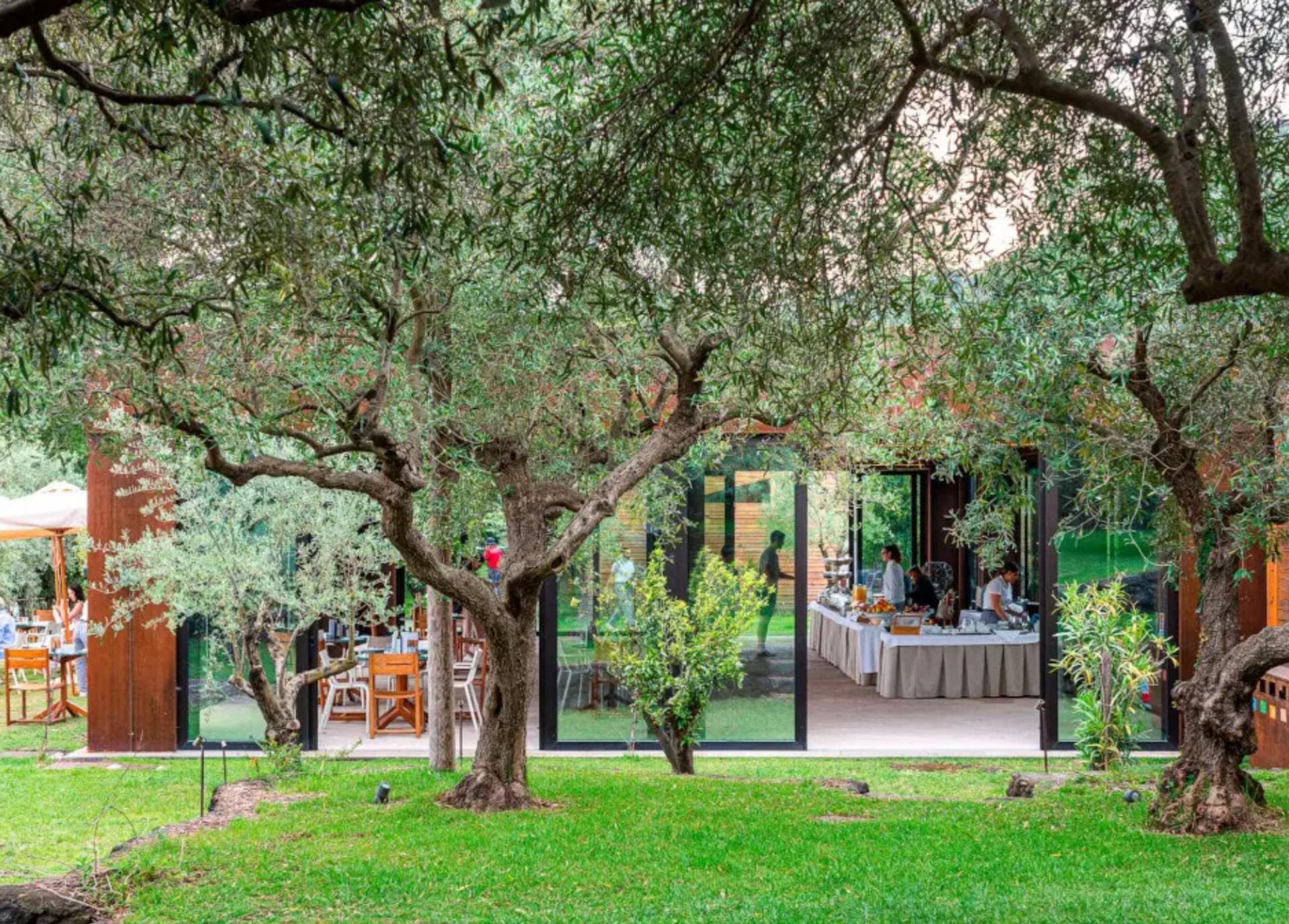 The Monks' Garden