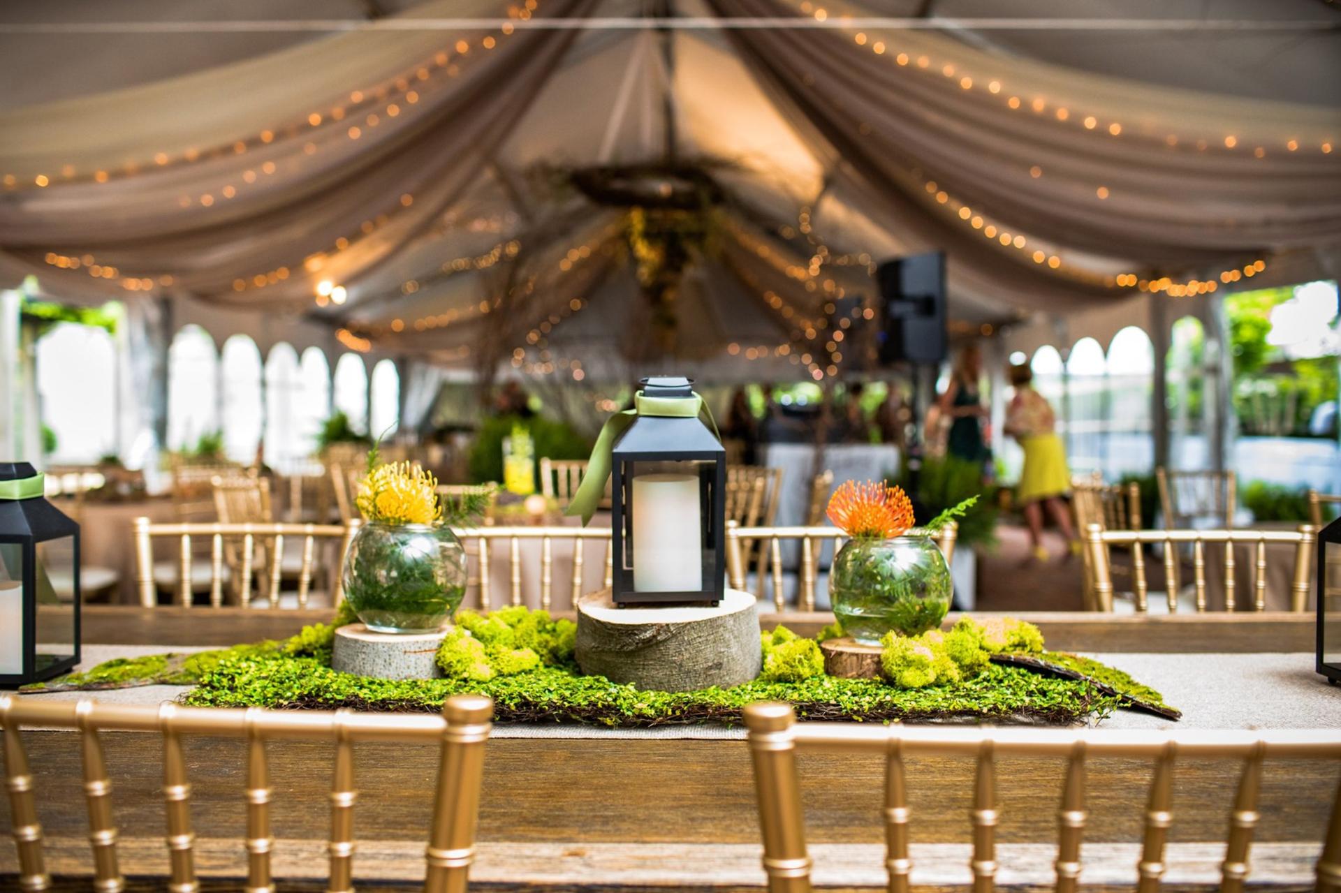 Garden Tent