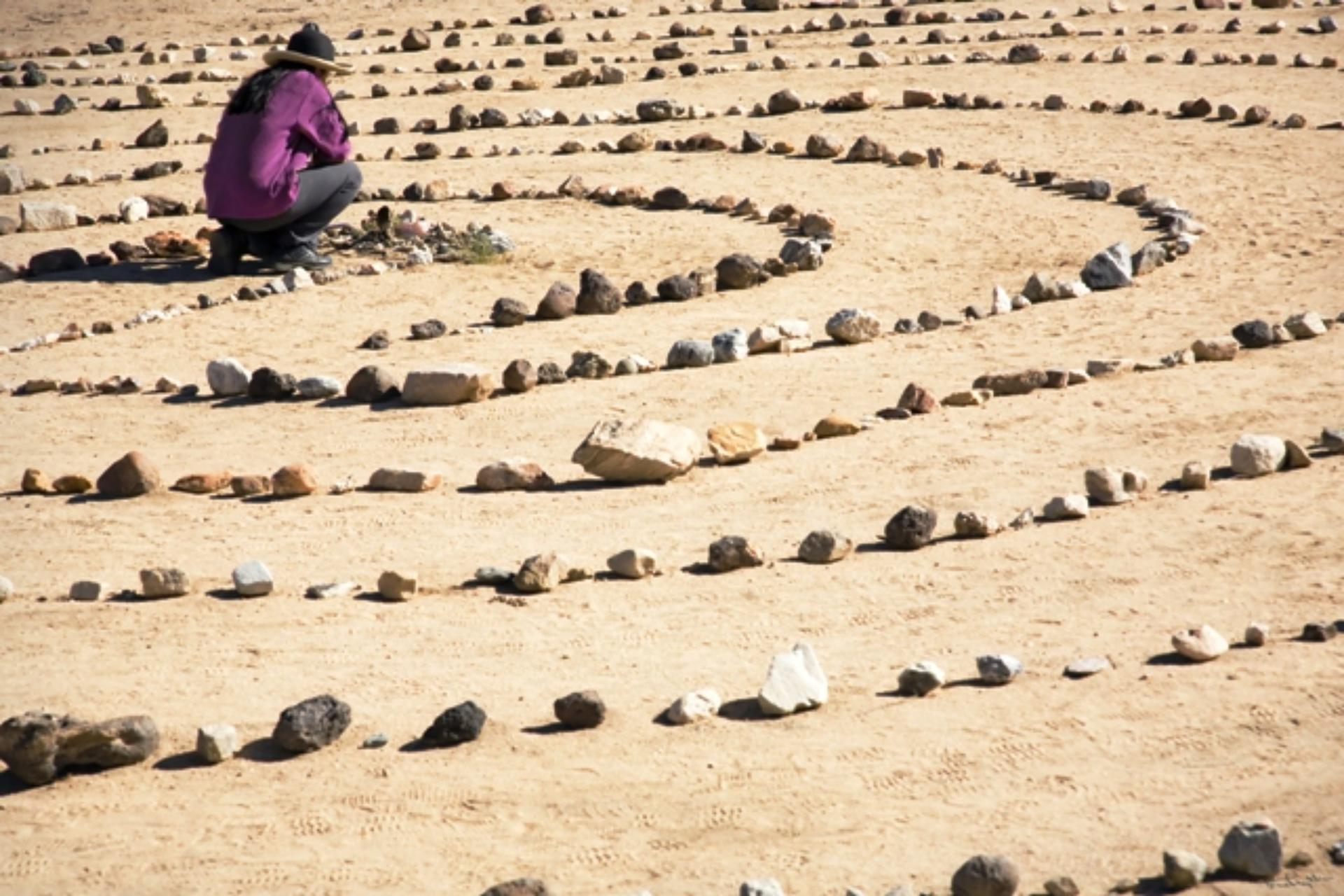 The Rose Labyrinth