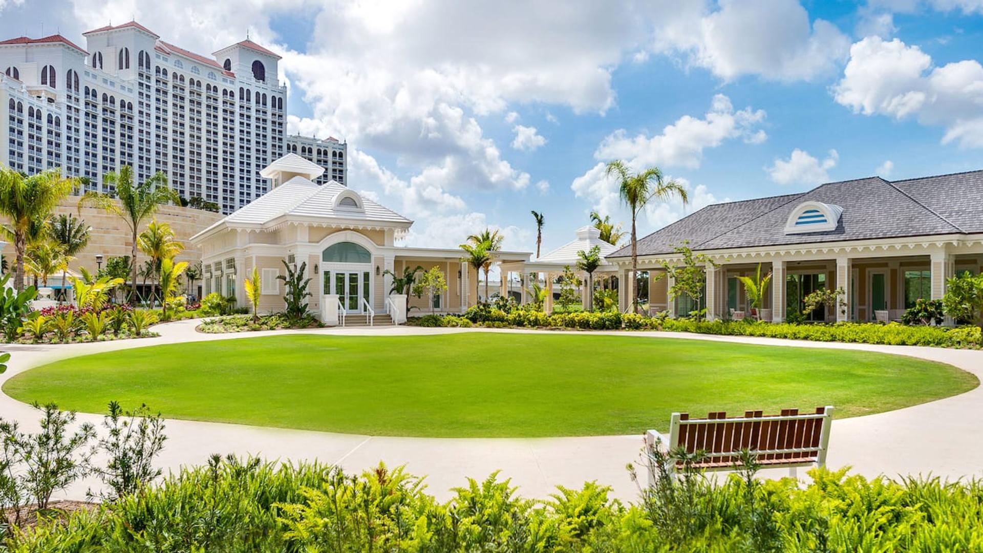 Hibiscus Lawn