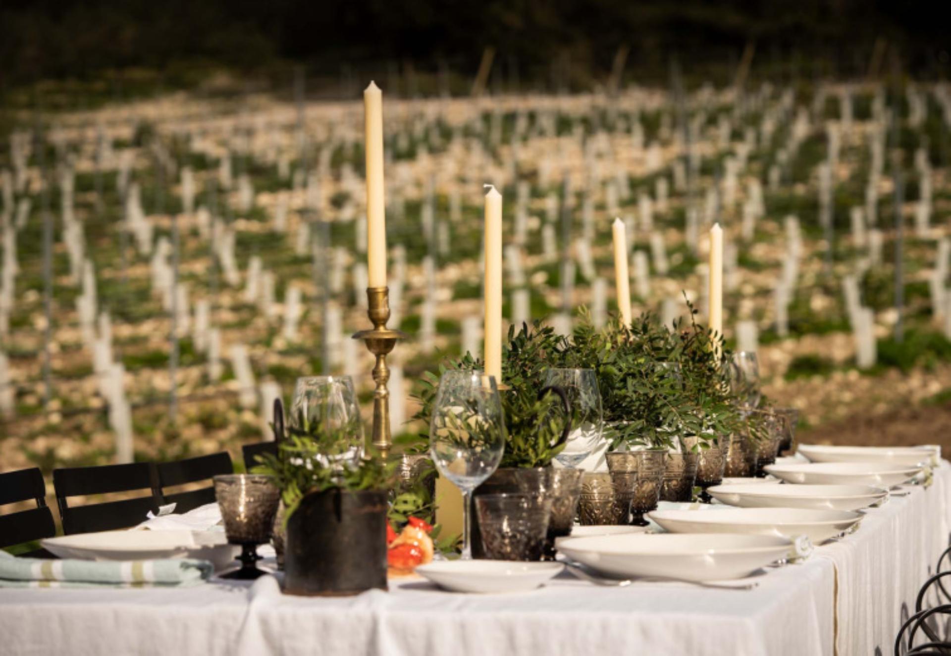 A Place Among the Vineyards
