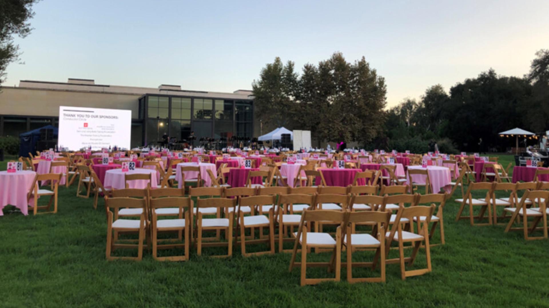 Brown Lawn