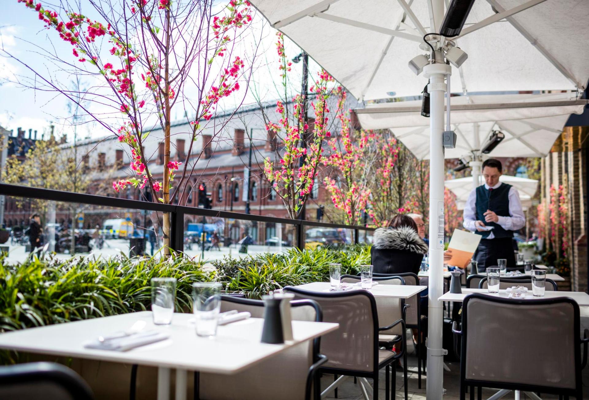 Outdoor Terrace