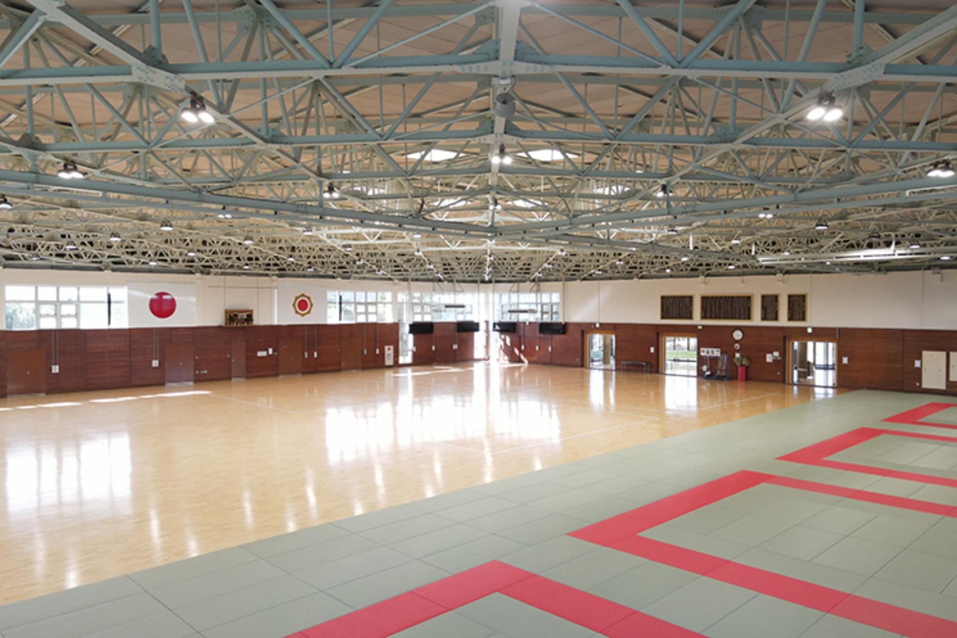 Large Dojo
