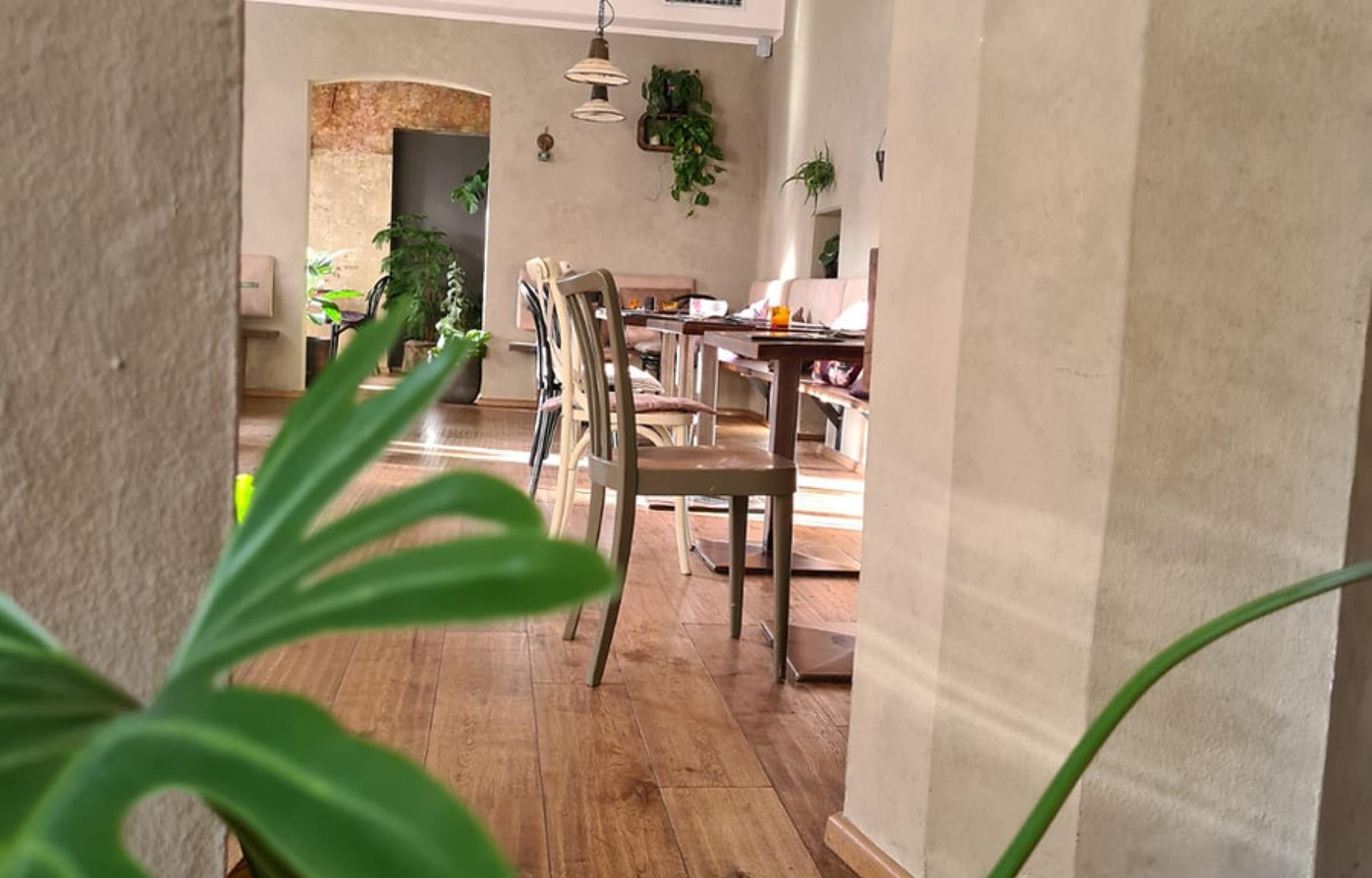 Full Buyout of Restaurant Olive Wiltener Platz`l