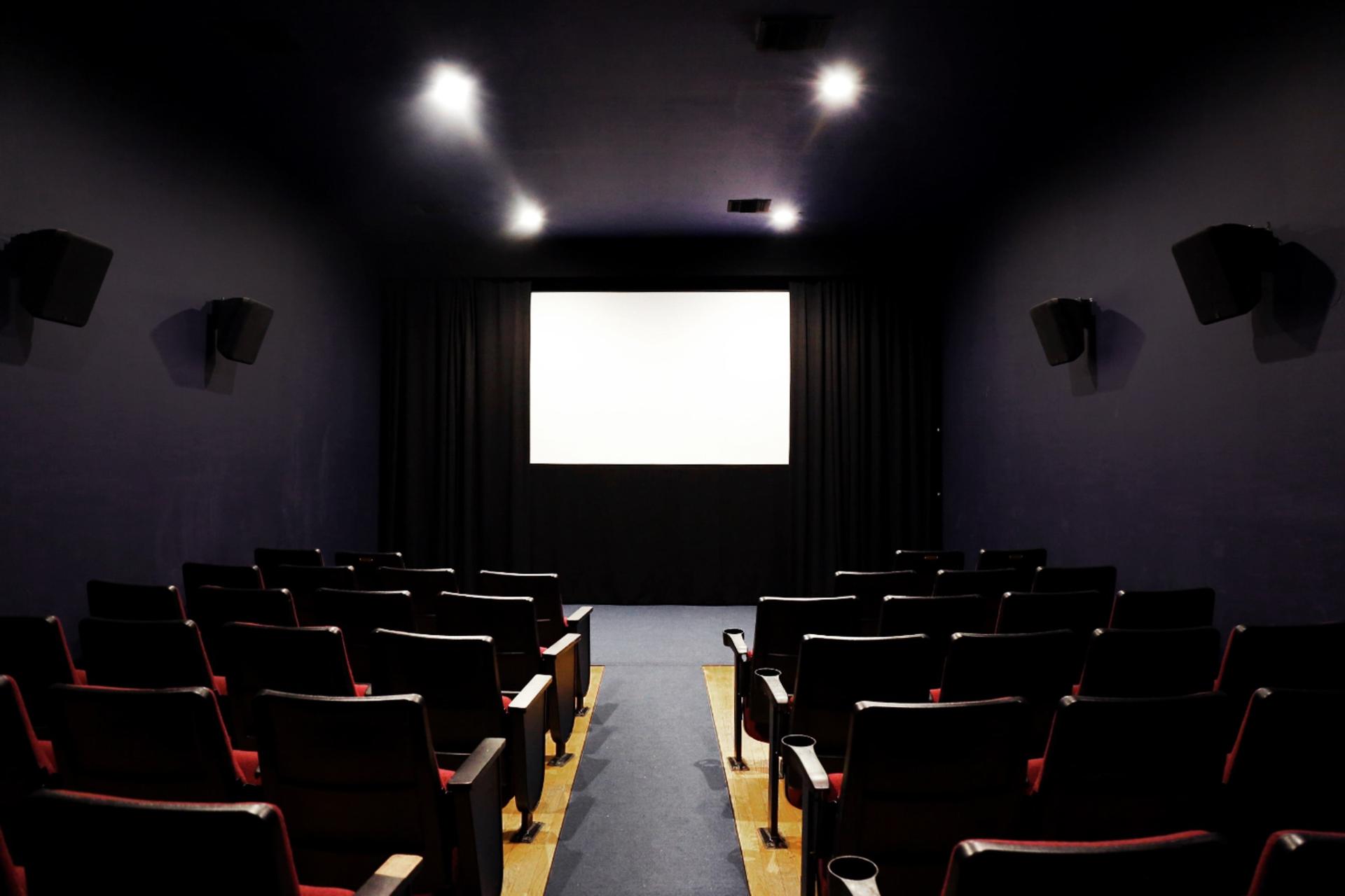 Full Buyout of Maysles Documentary Center
