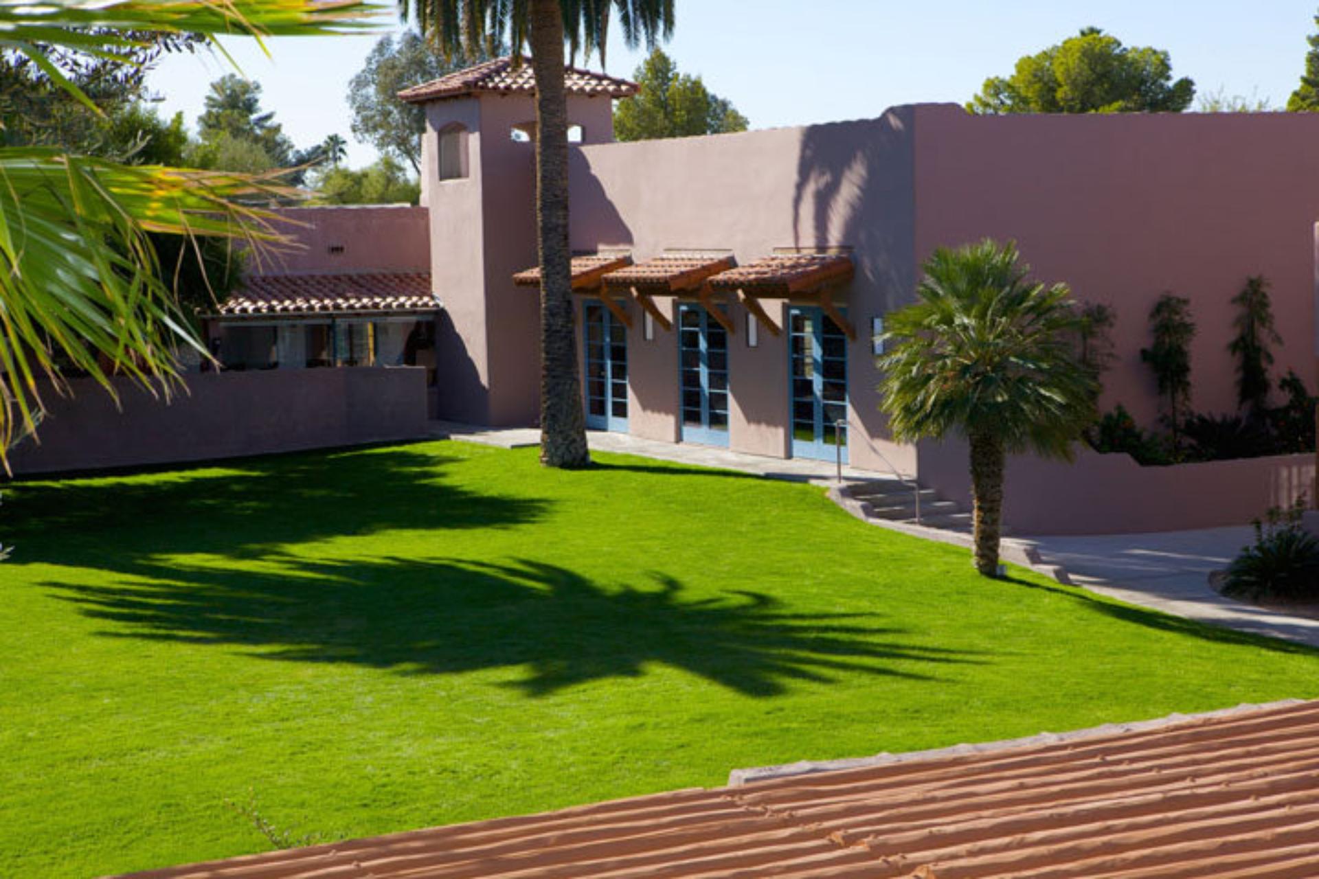 Palm Lawn