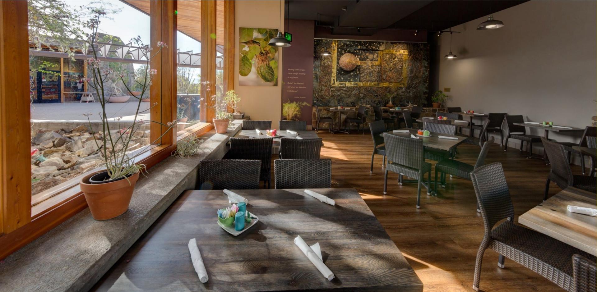 Ocotillo Café