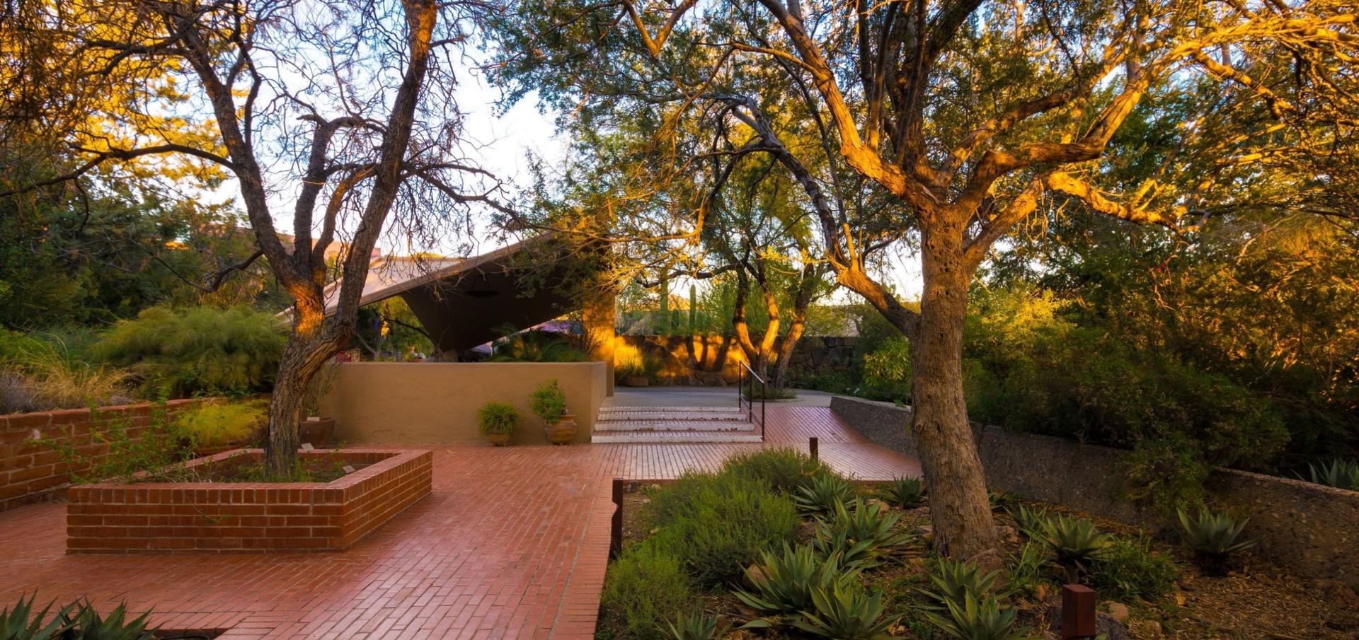Desert Garden