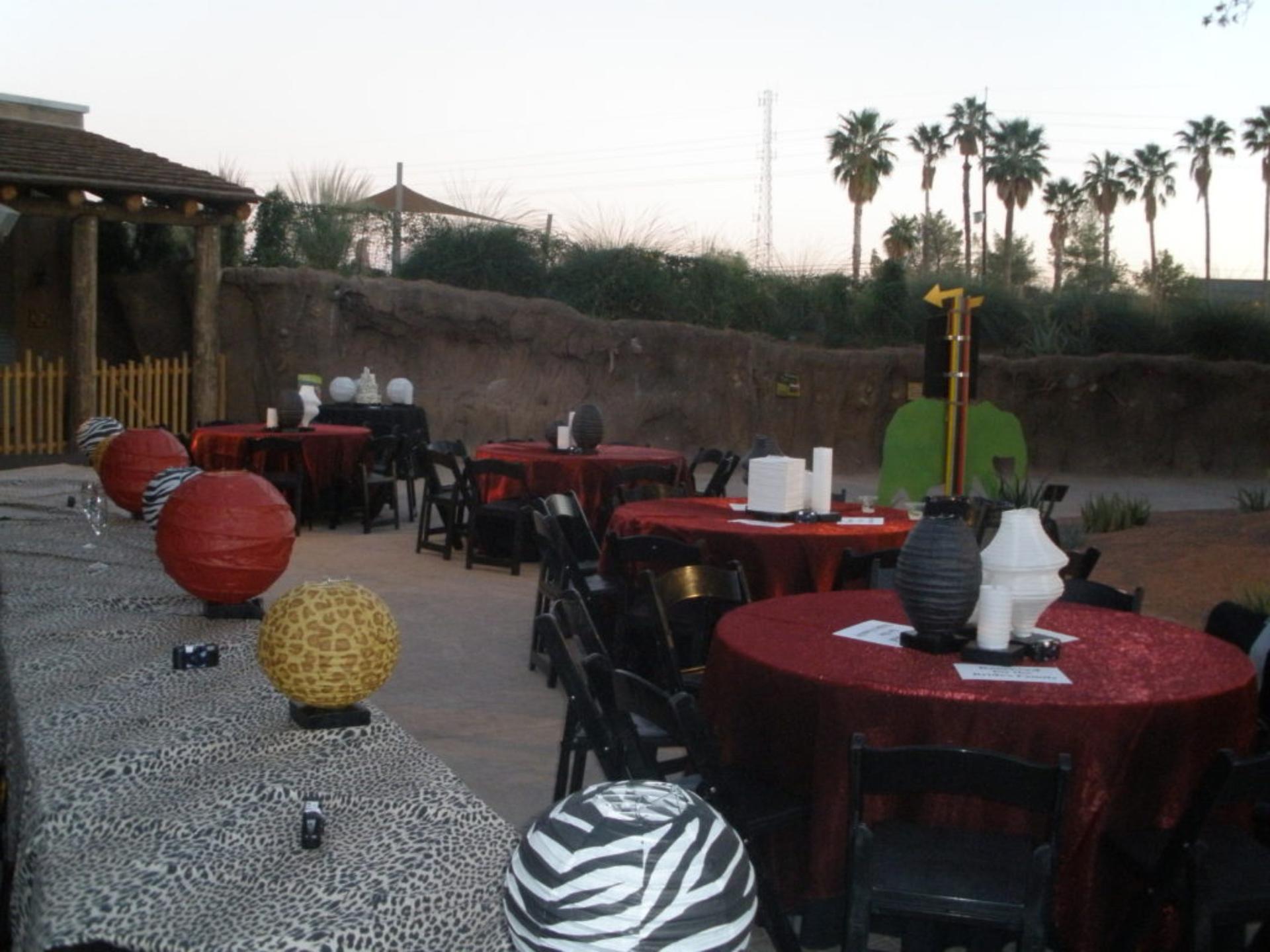 Pachyderm Patio
