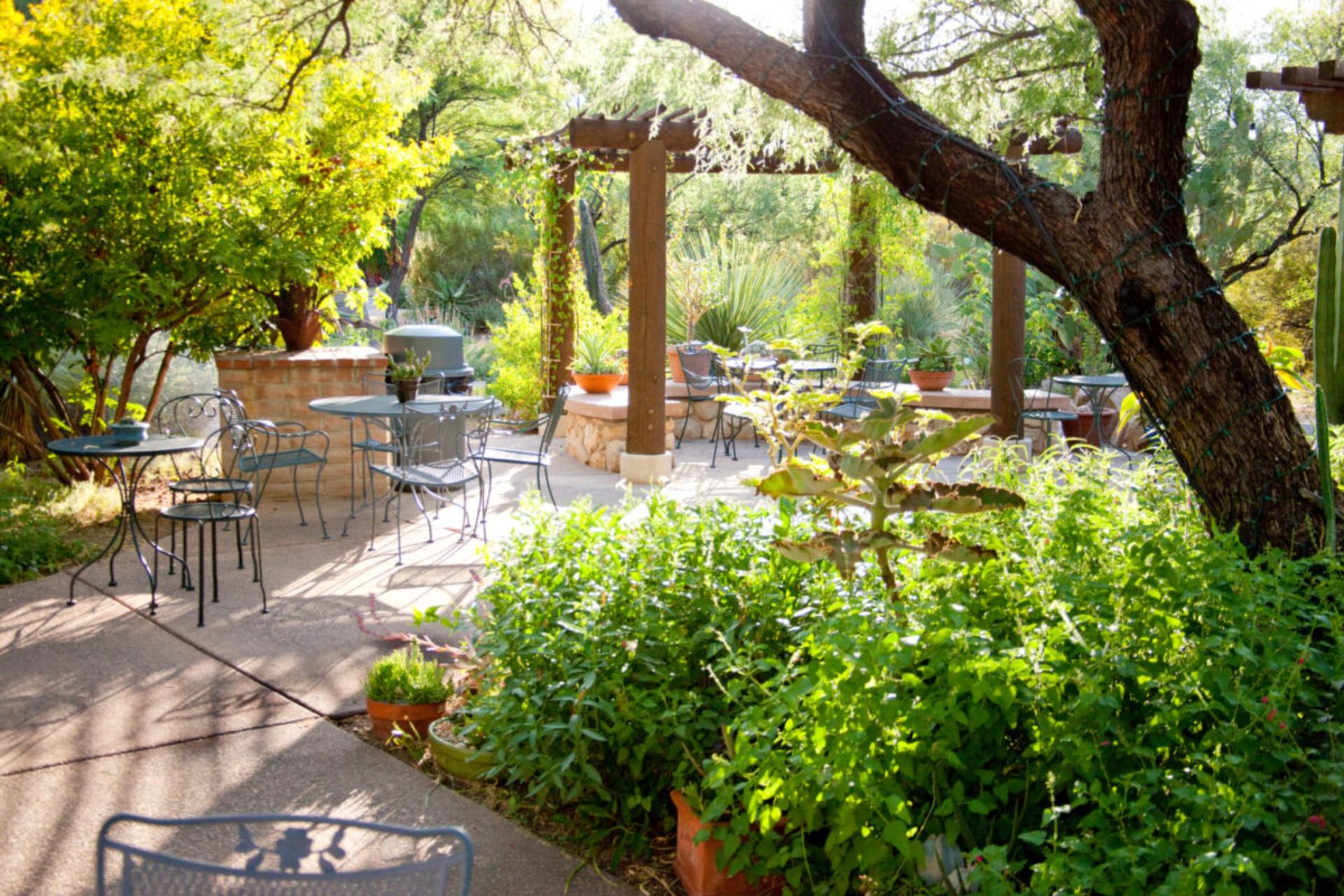 Xeriscape Garden