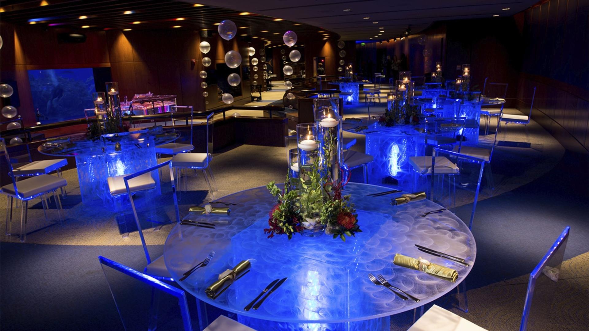 Living Seas Salon