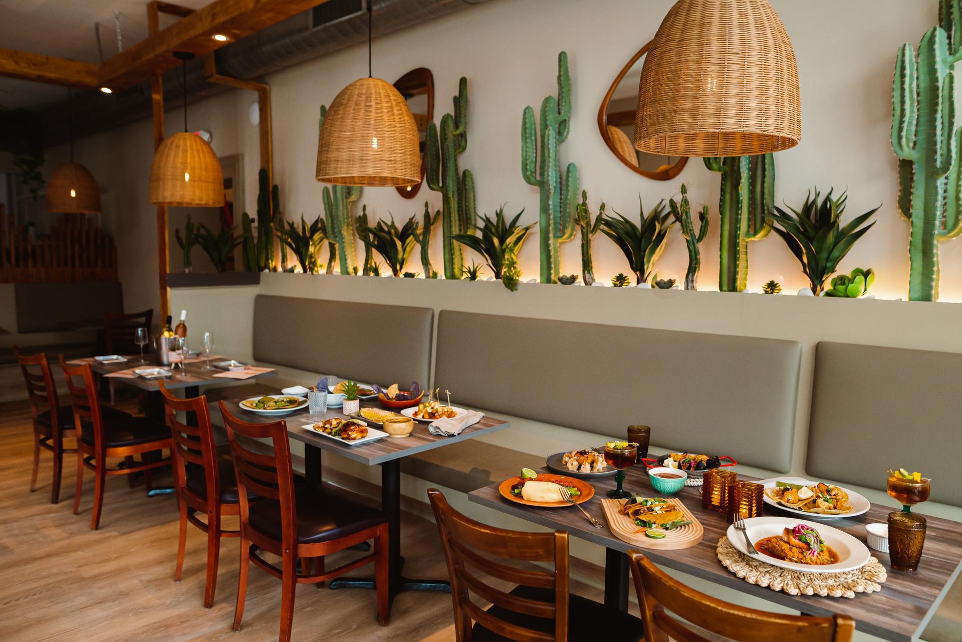 Full Buyout of Paloma Restaurante