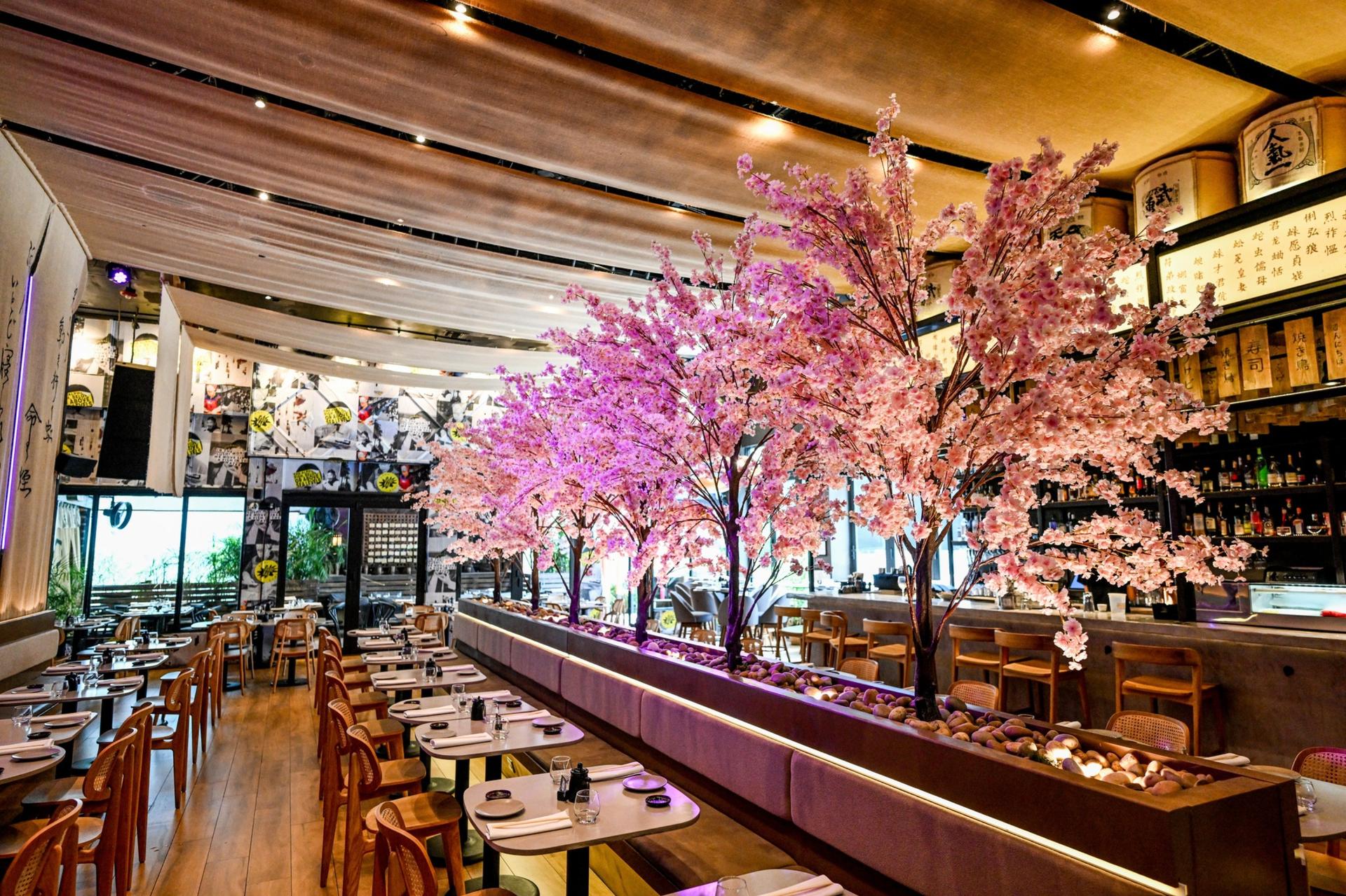Full Buyout of Paperfish Sushi - Brickell