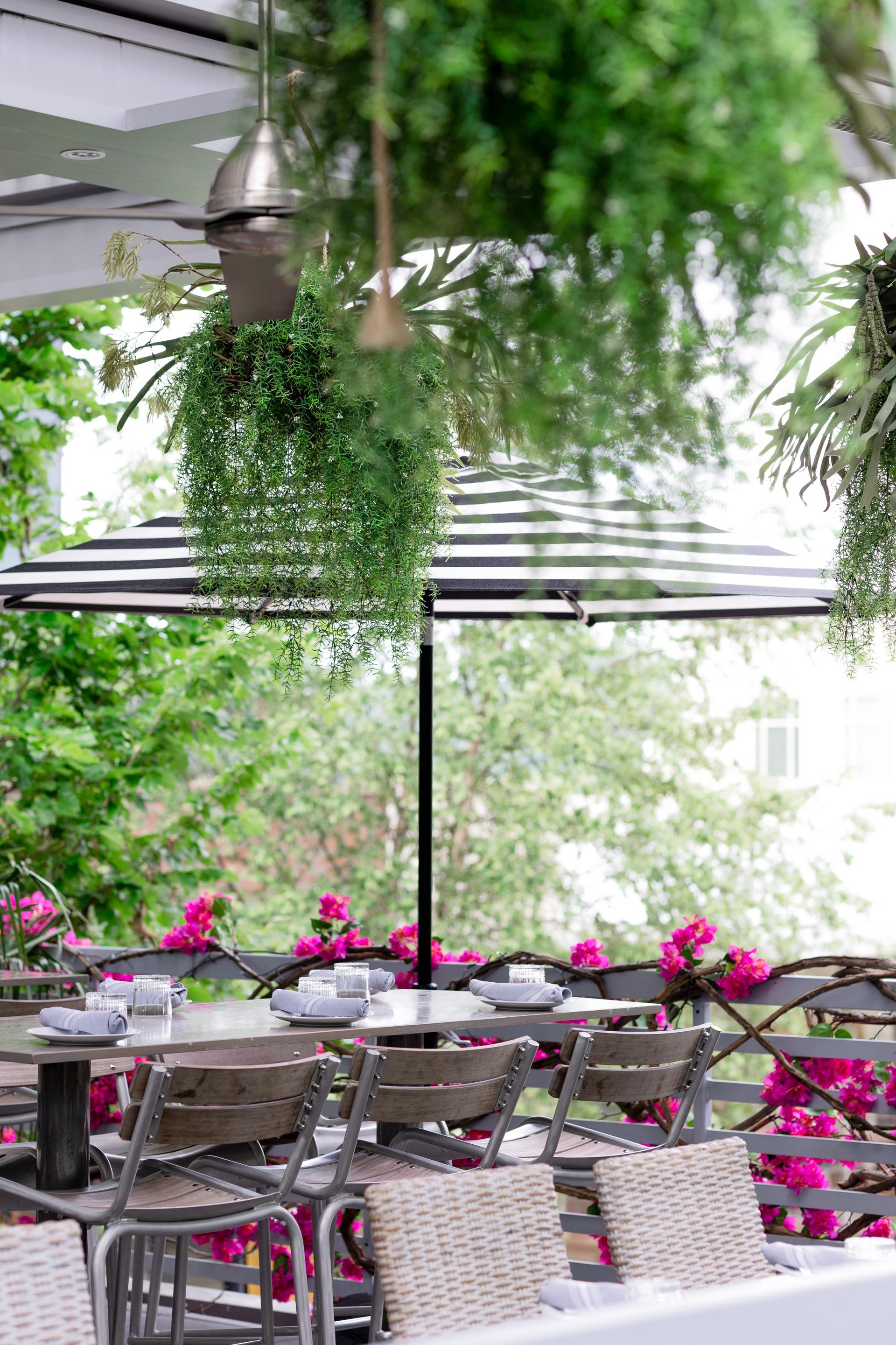 Rooftop Patio