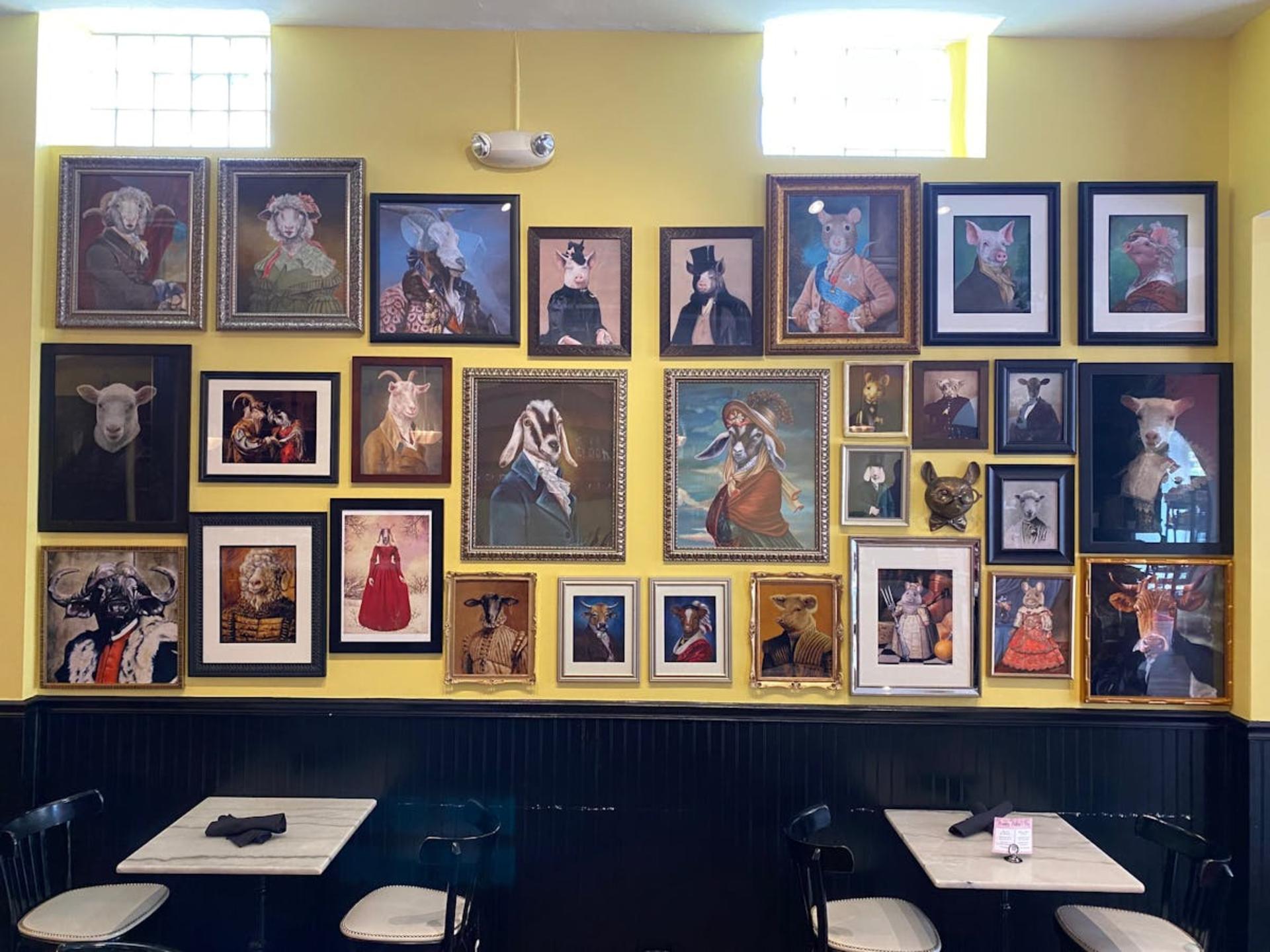 Full Buyout of Cheesetique Del Ray