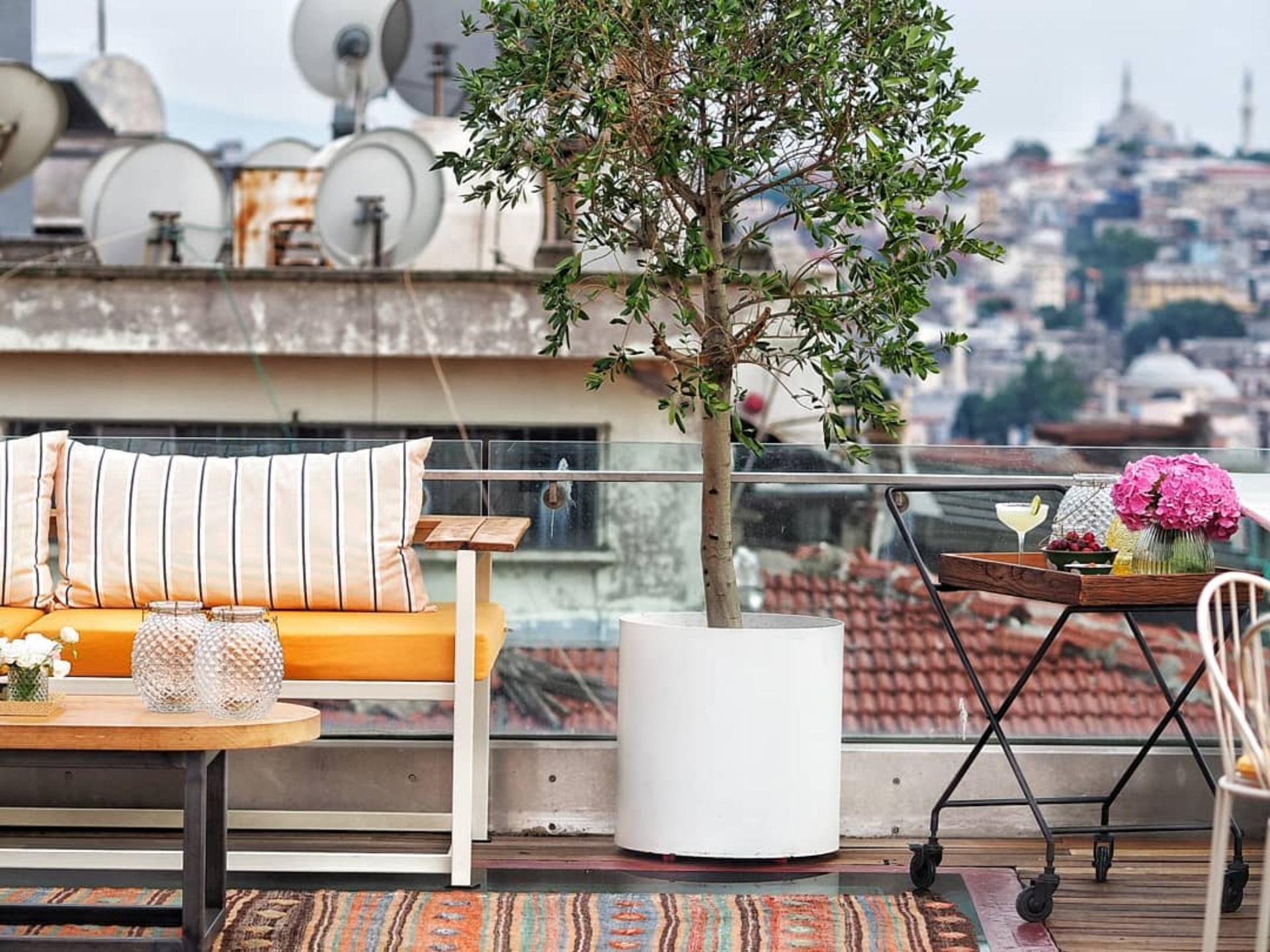 Full Buyout of monkeyistanbul