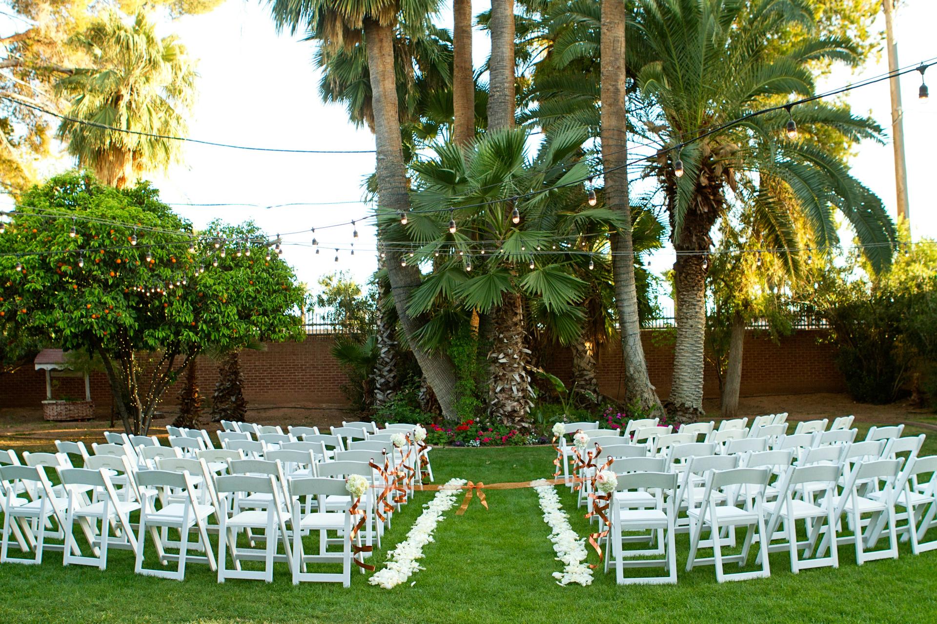 Backyard/Garden