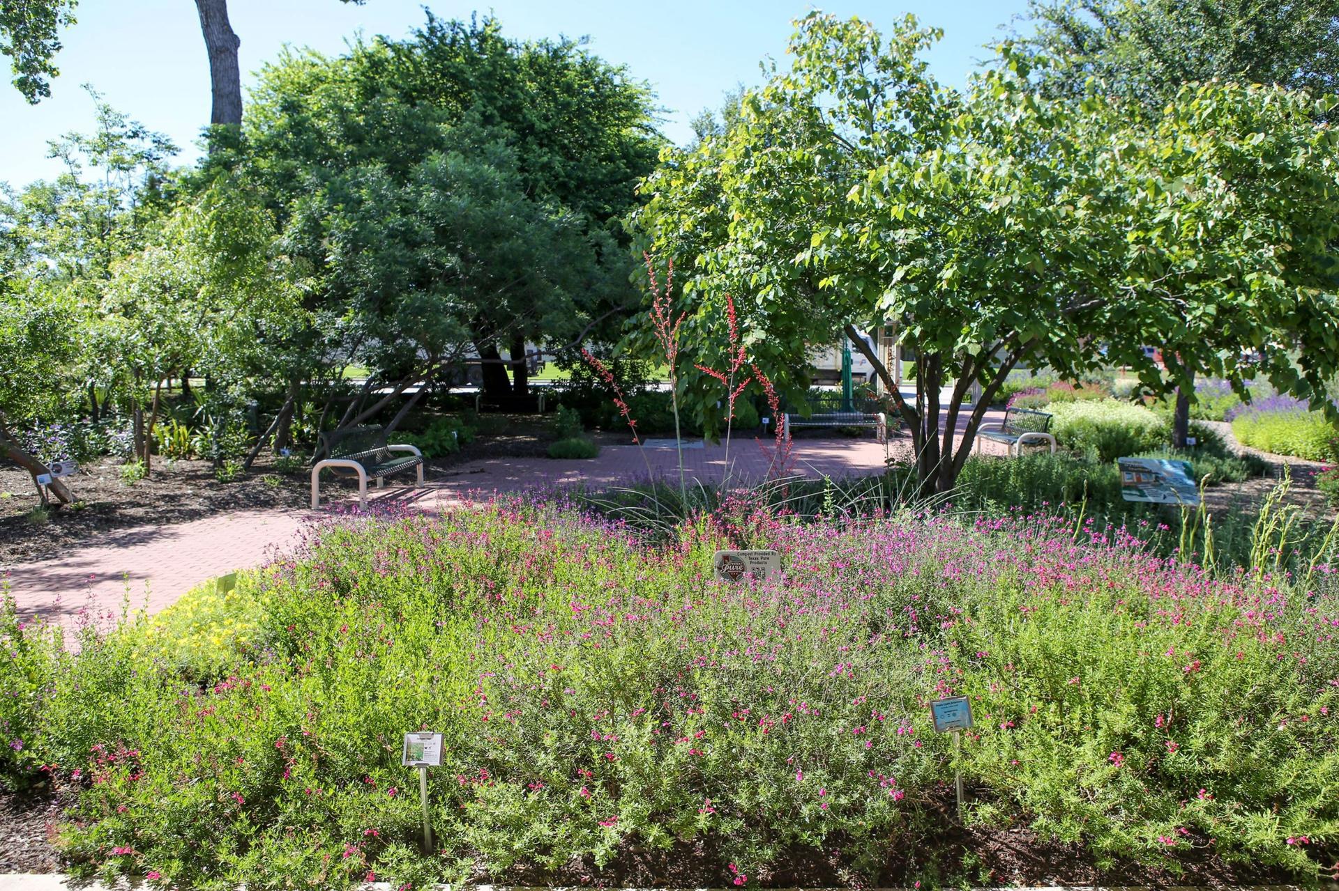 Texas SmartScape Garden