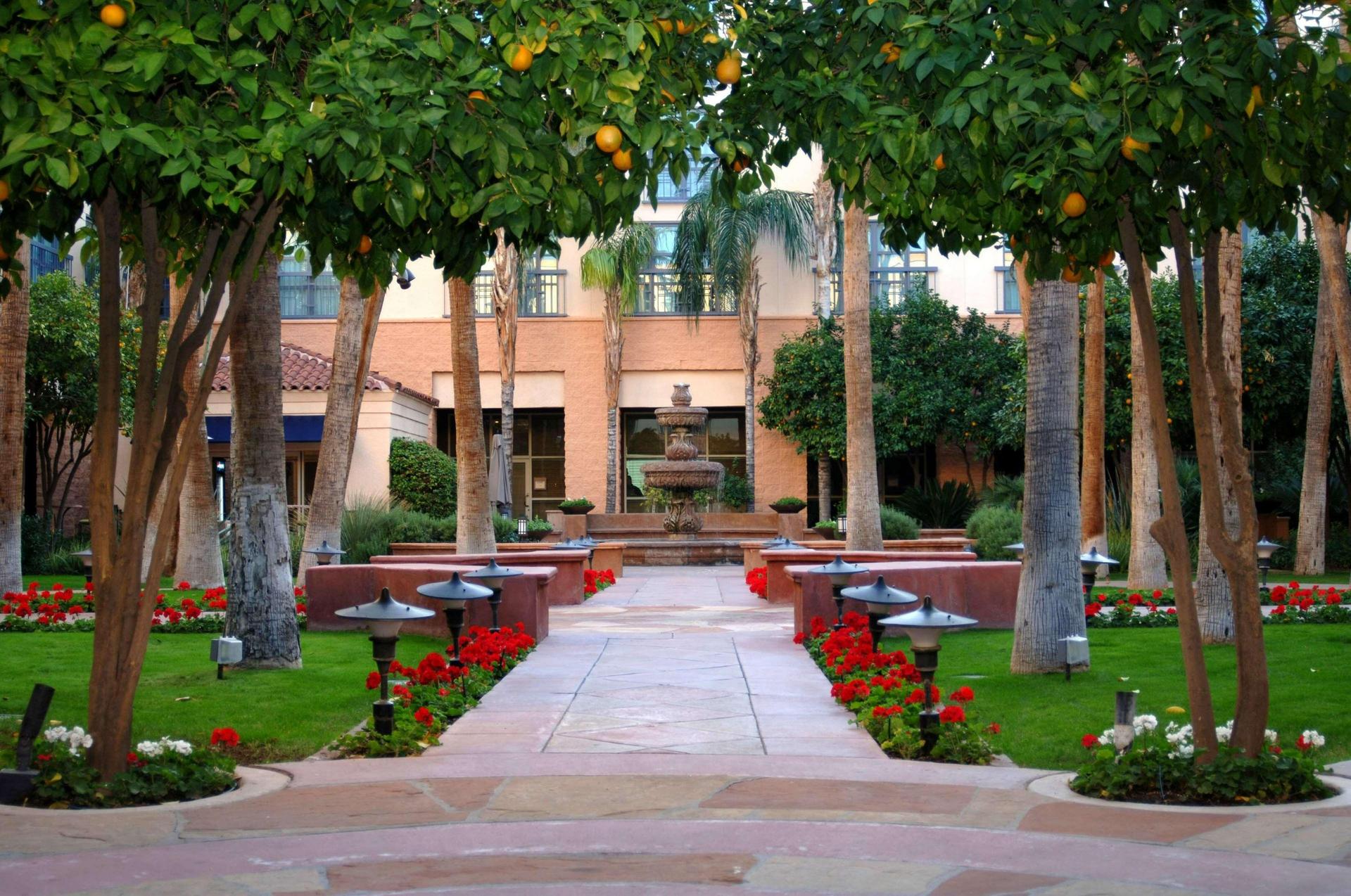 Outdoor Space