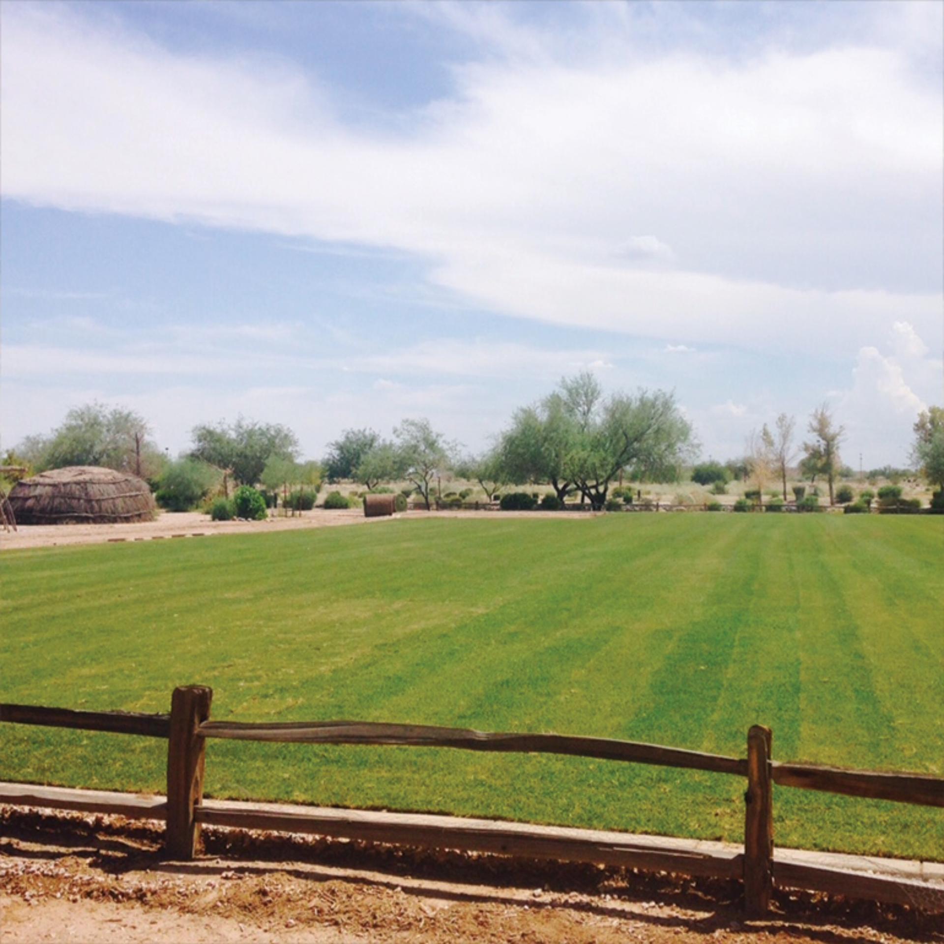 Riverwalk Lawn