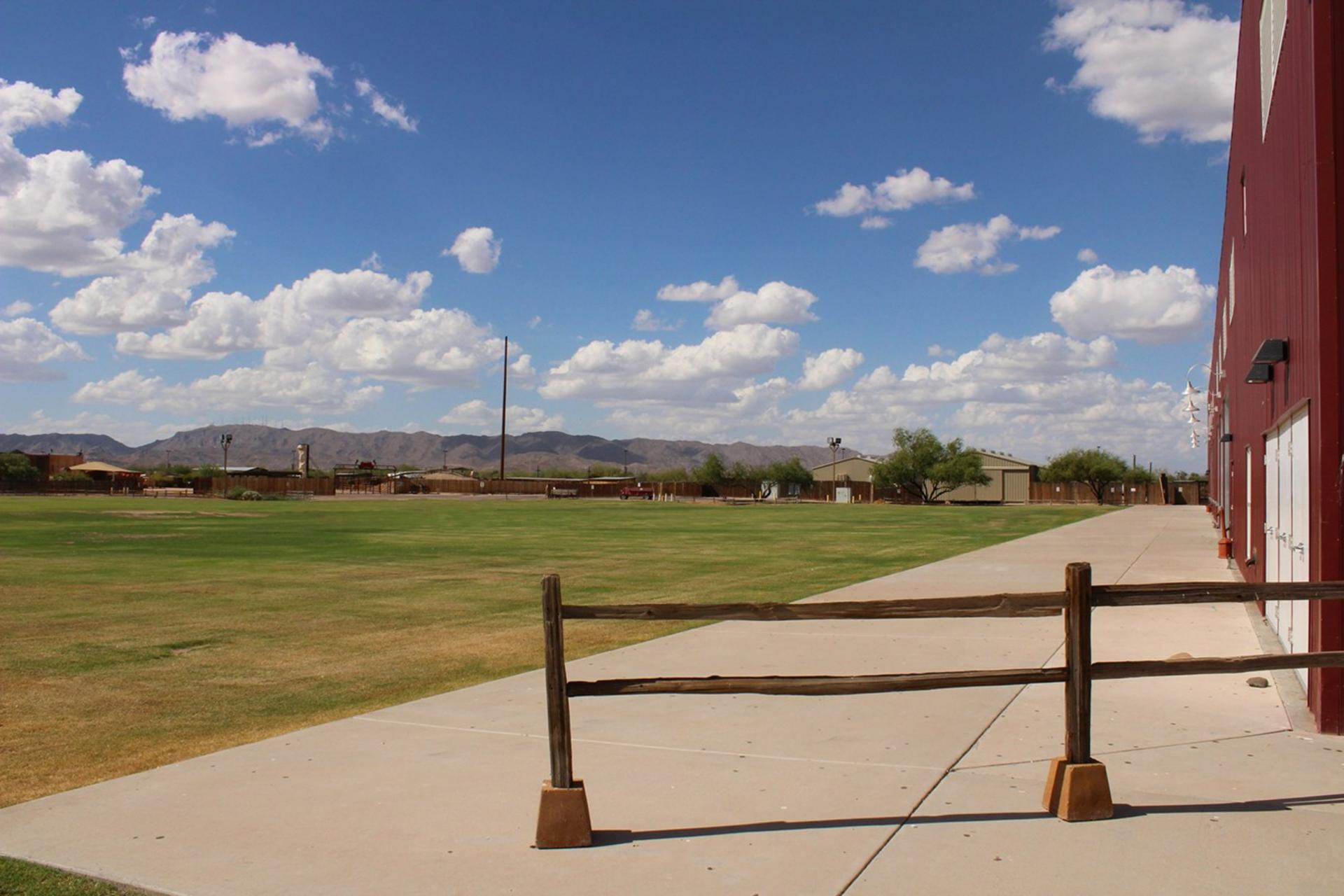 Sonoran Lawn