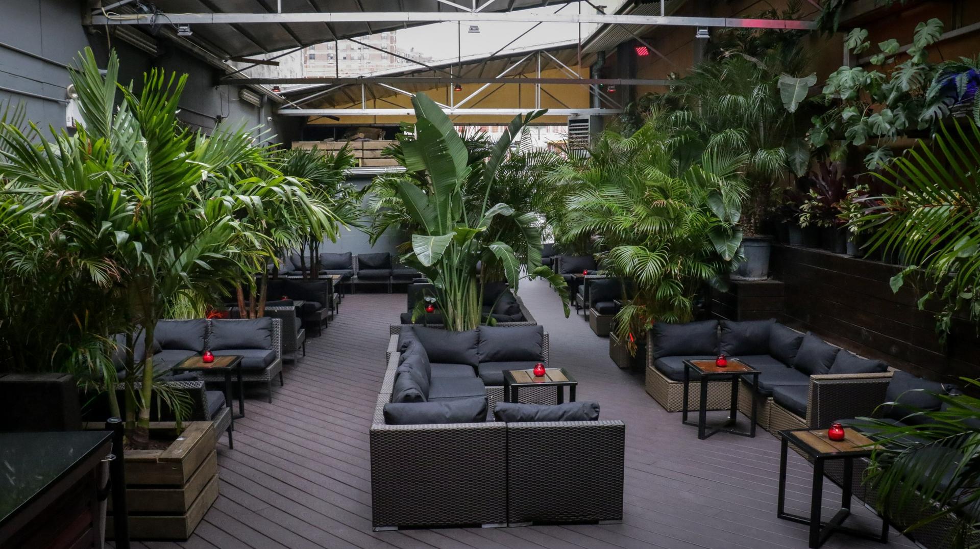 Rooftop Garden