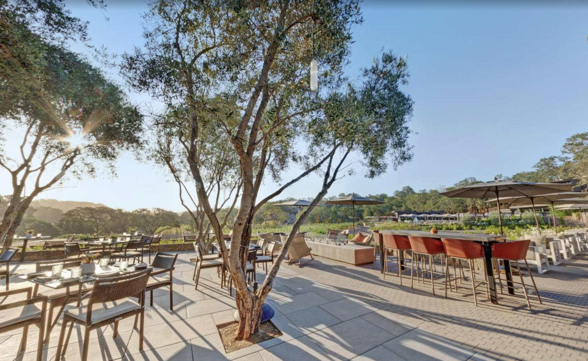 Olive Terrace