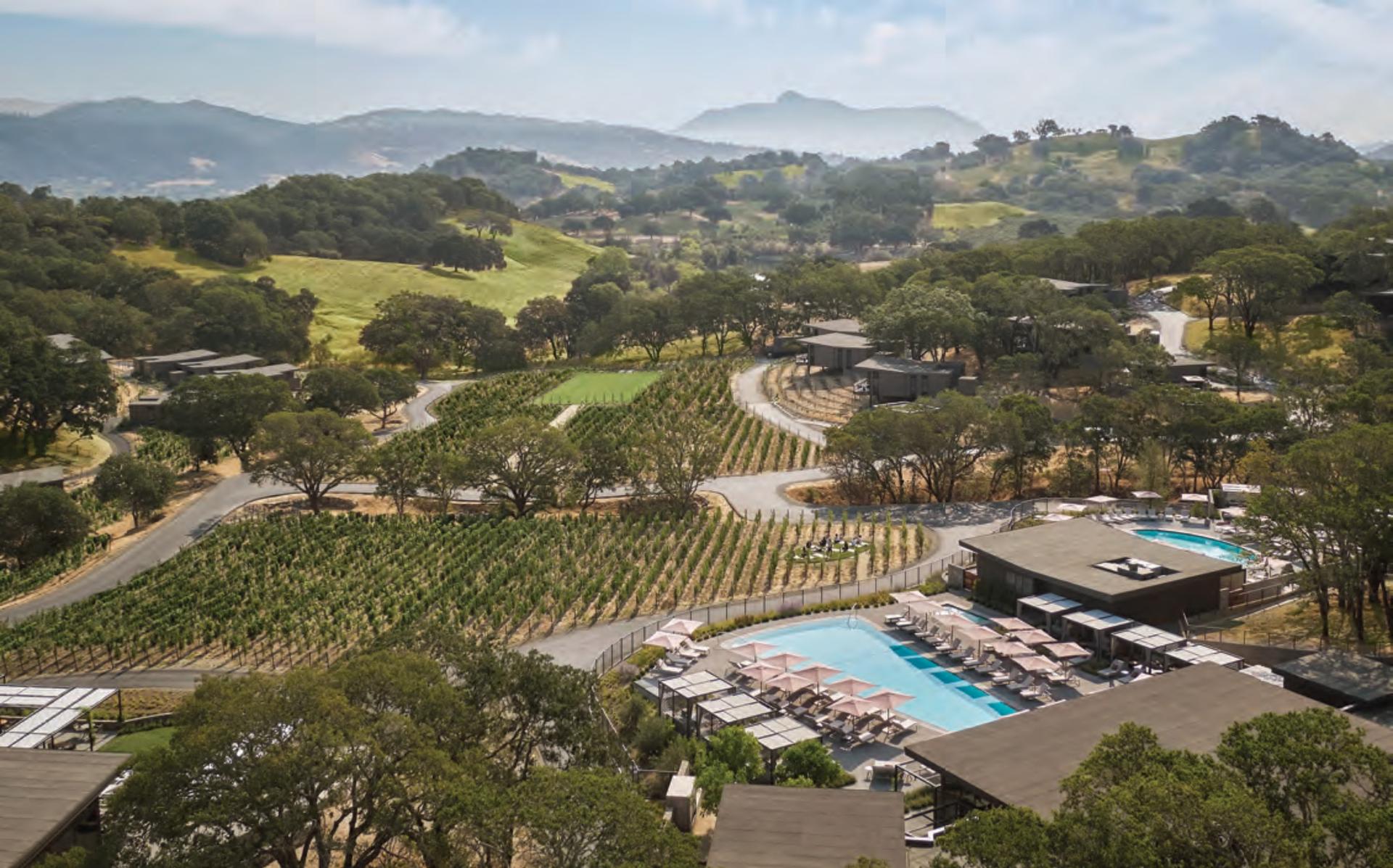 Vineyard Lawn
