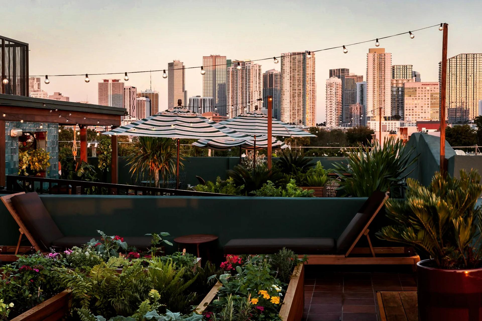 Rooftop