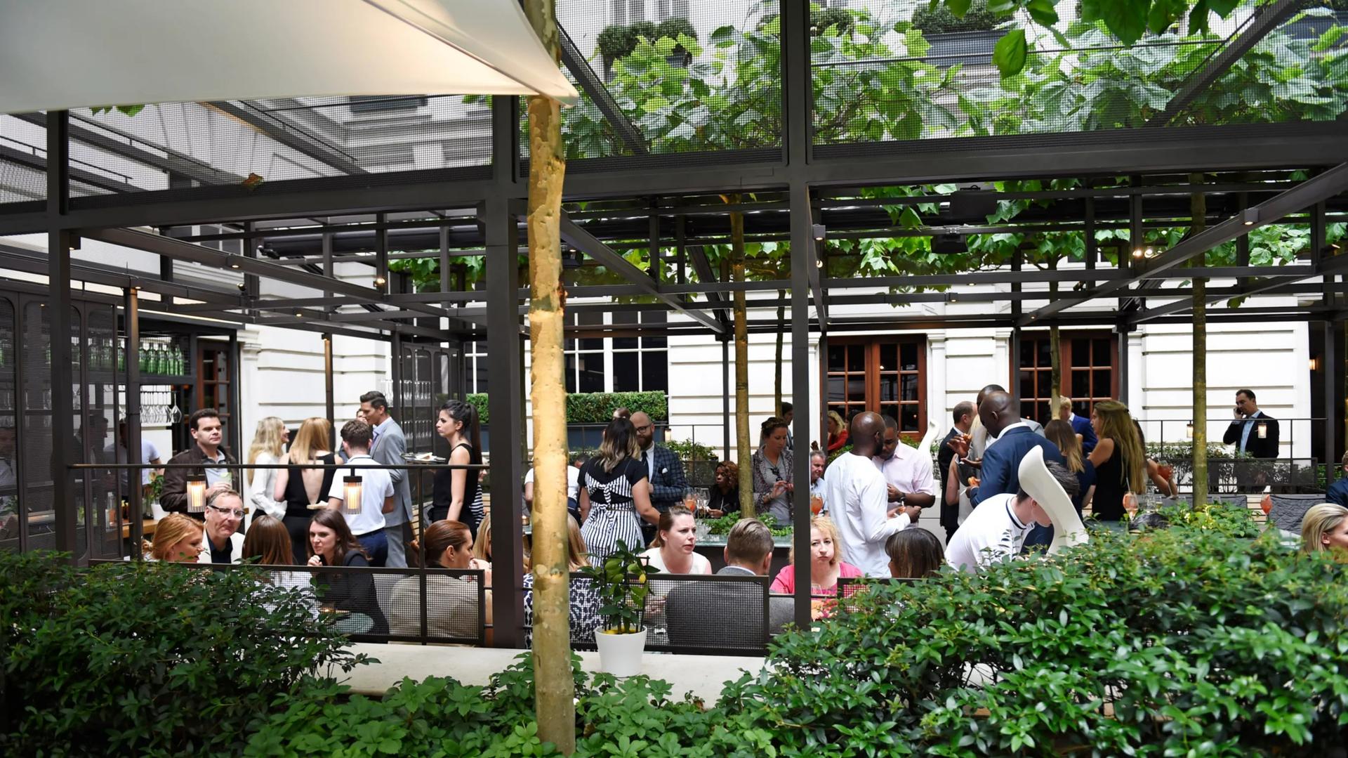 The Terrace