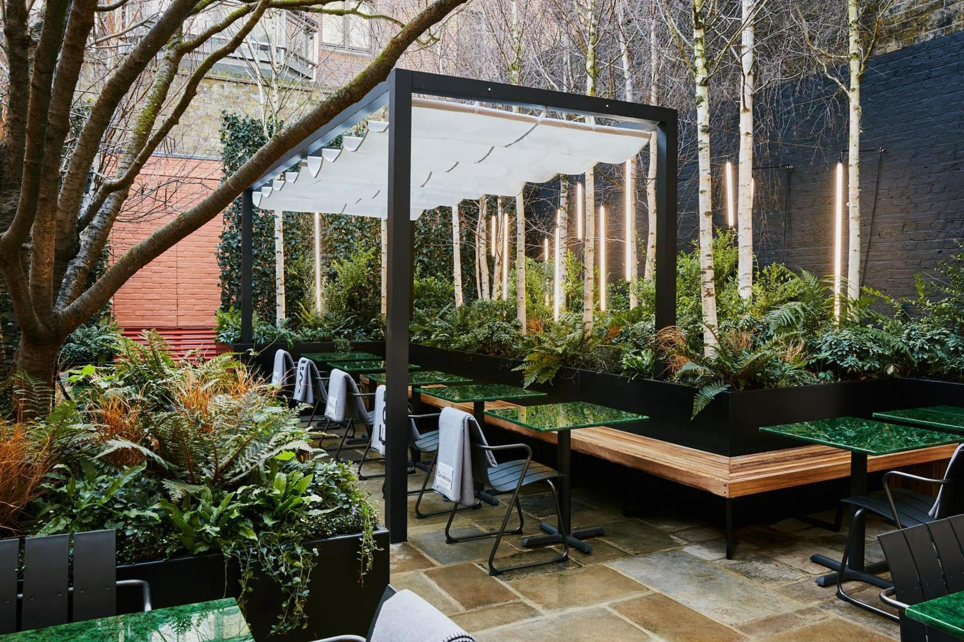 Garden/Courtyard