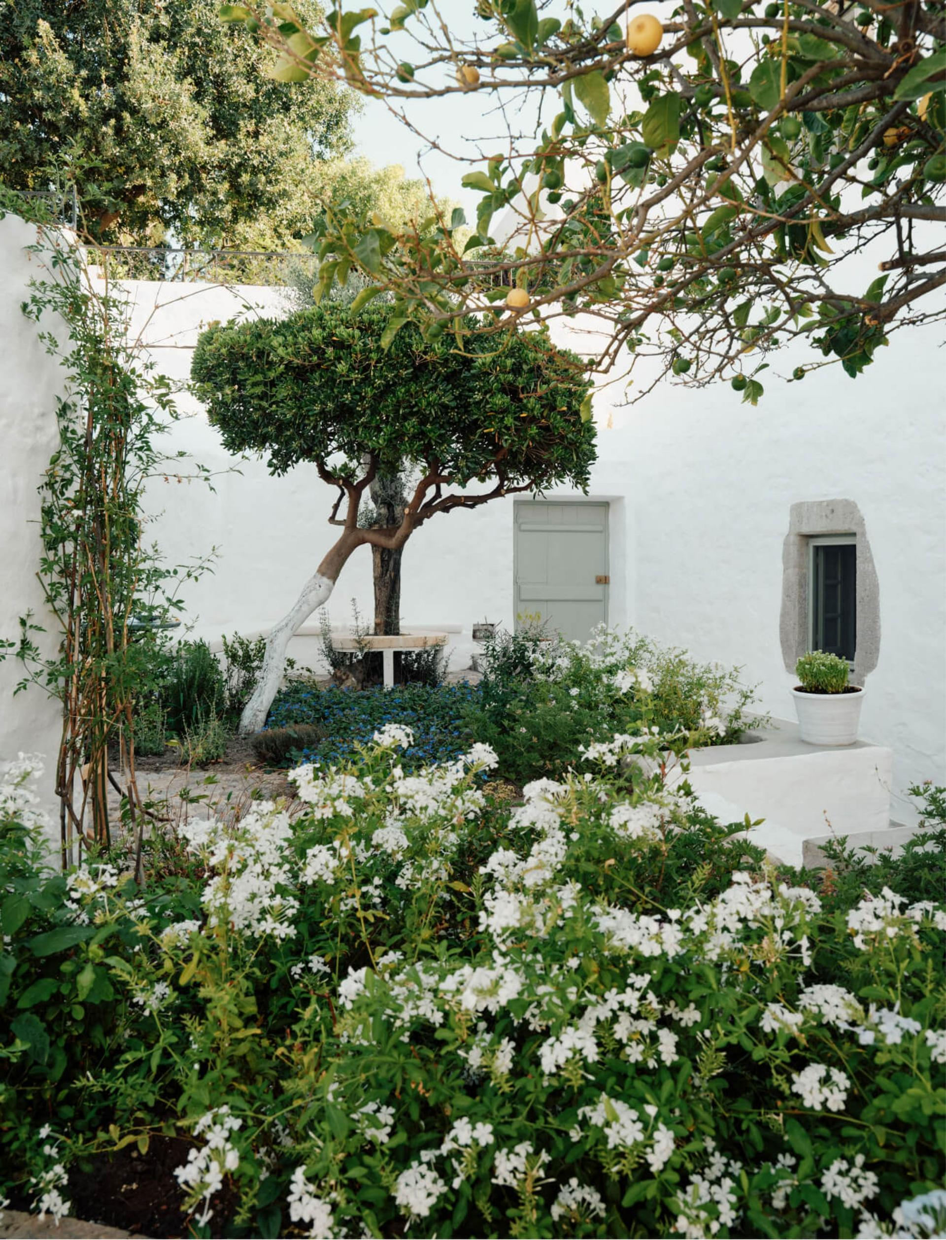 Secret Garden