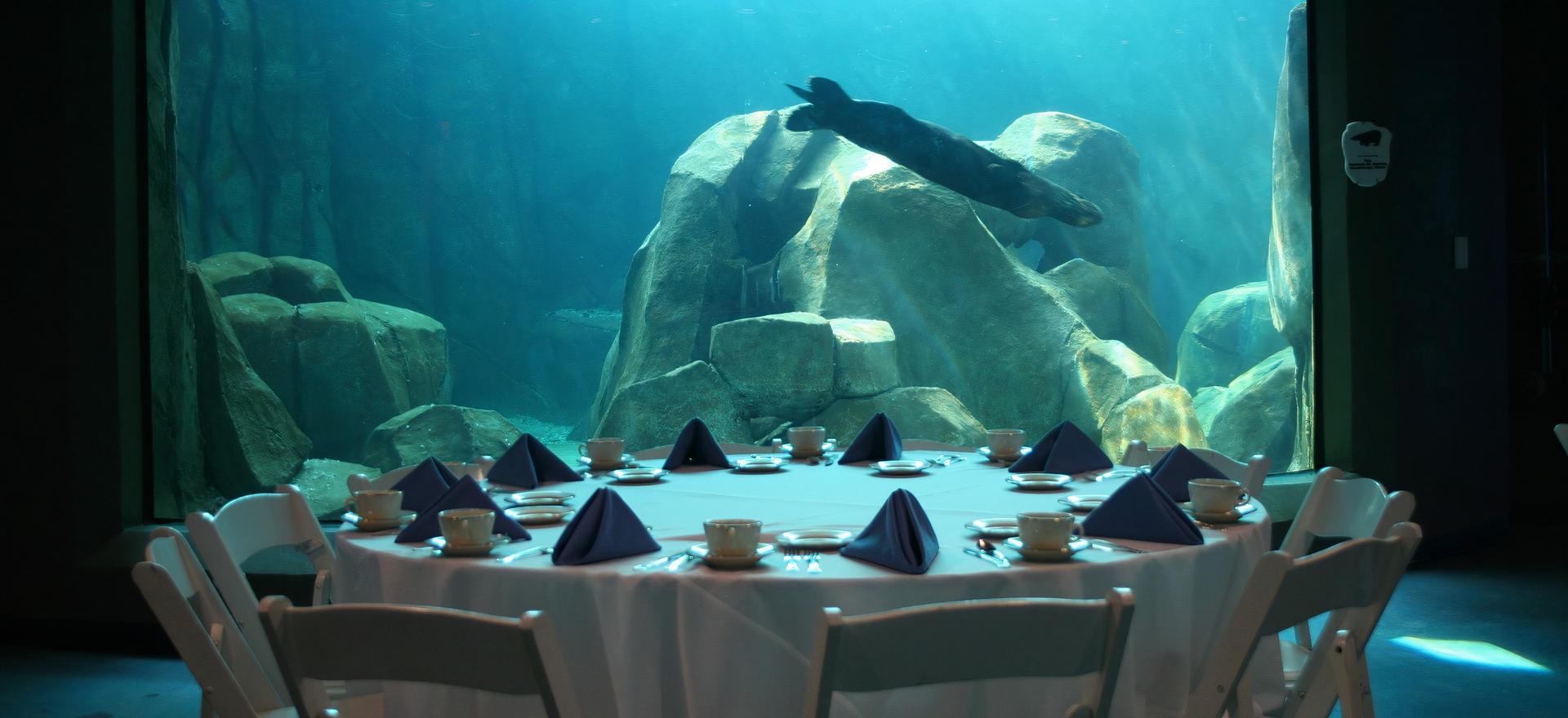 Aquarium