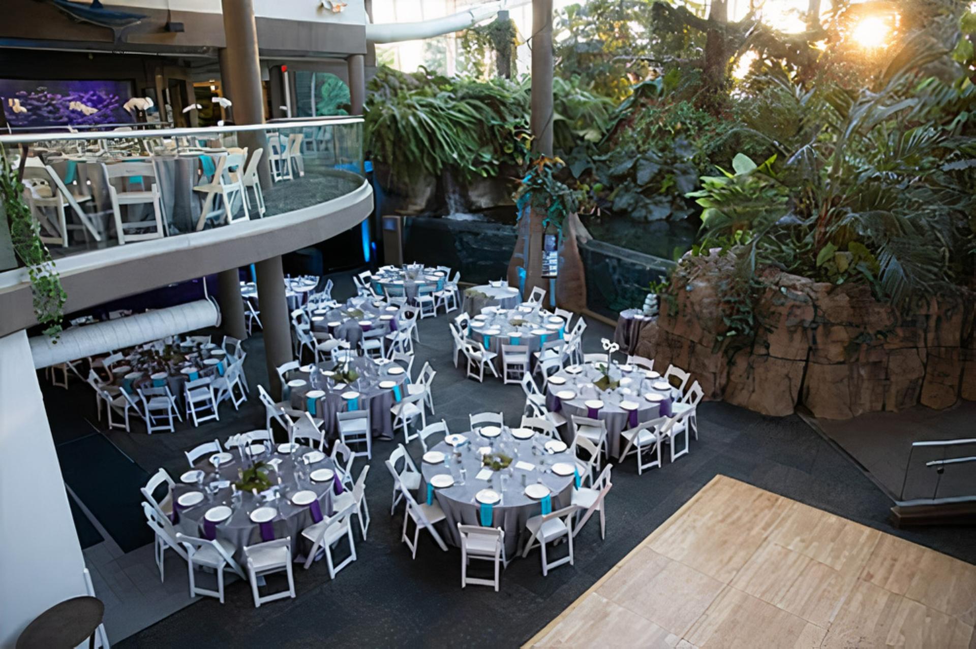 Aquarium + Aquarium Plaza