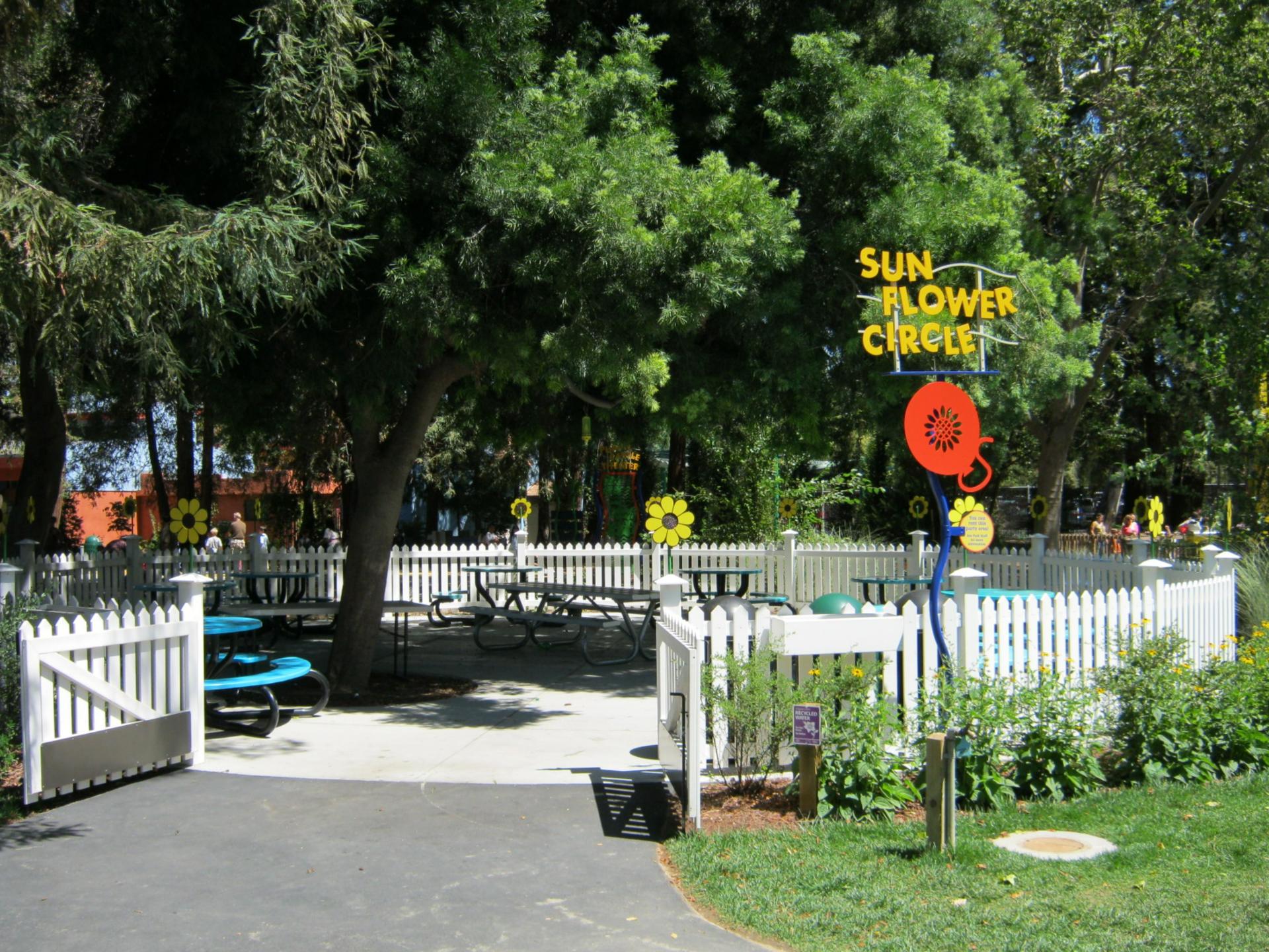 Sunflower Circle