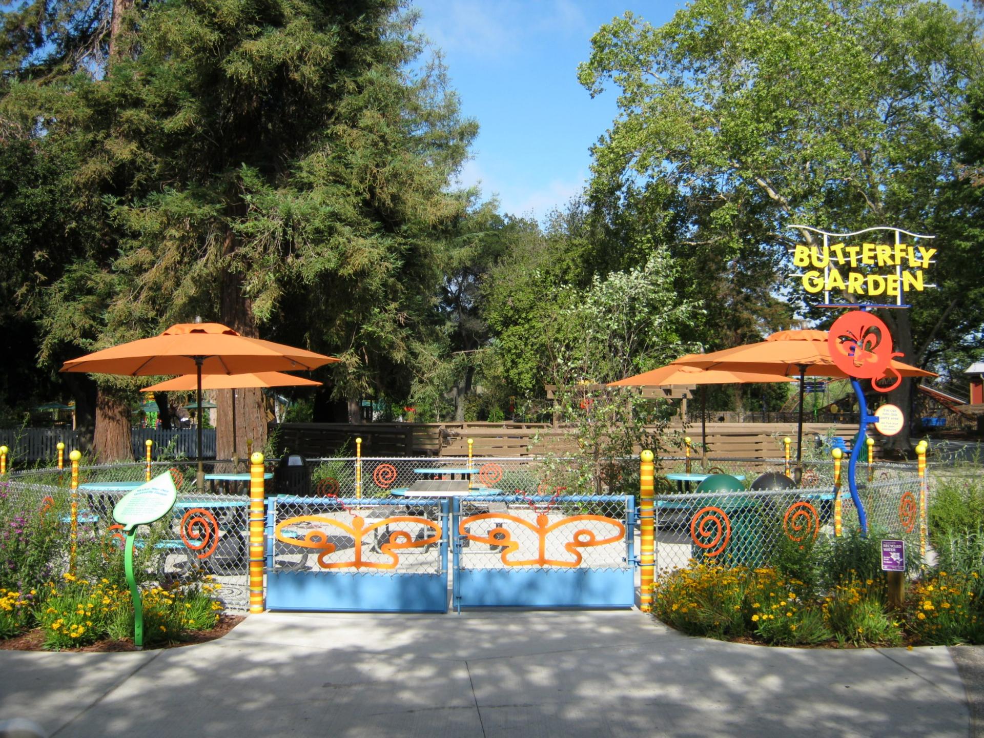 Butterfly Garden