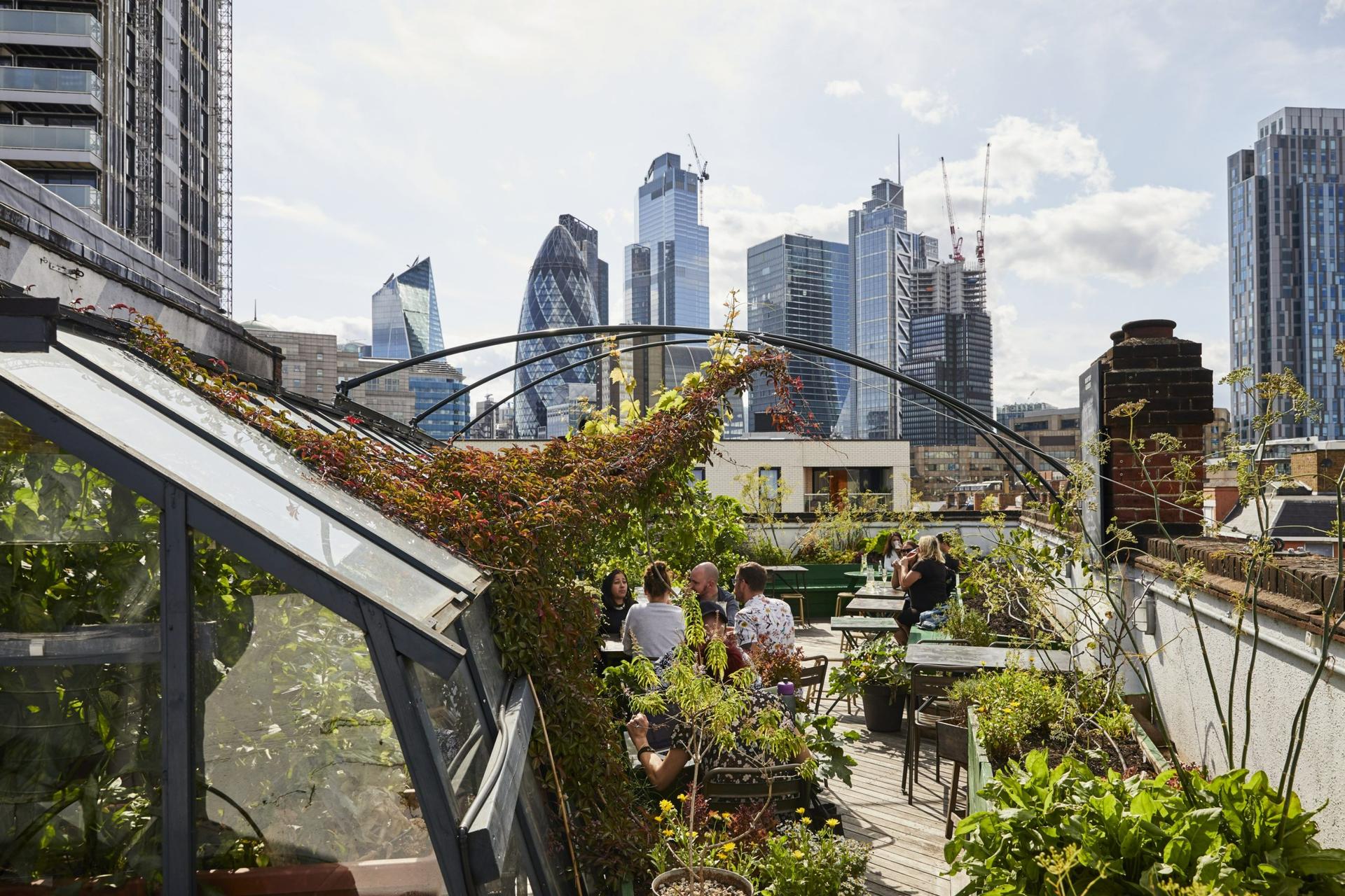 Rooftop Garden