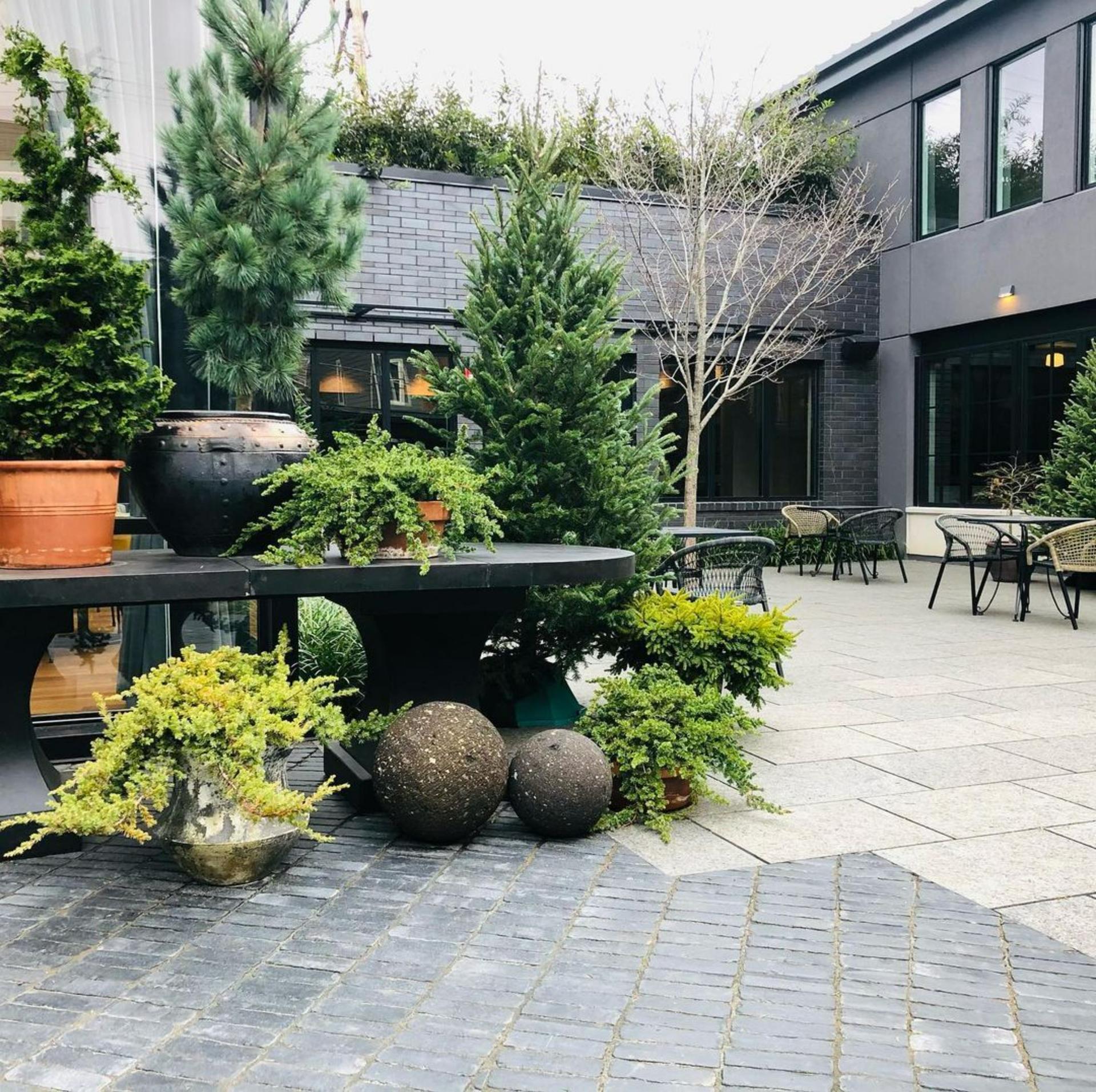 Garden