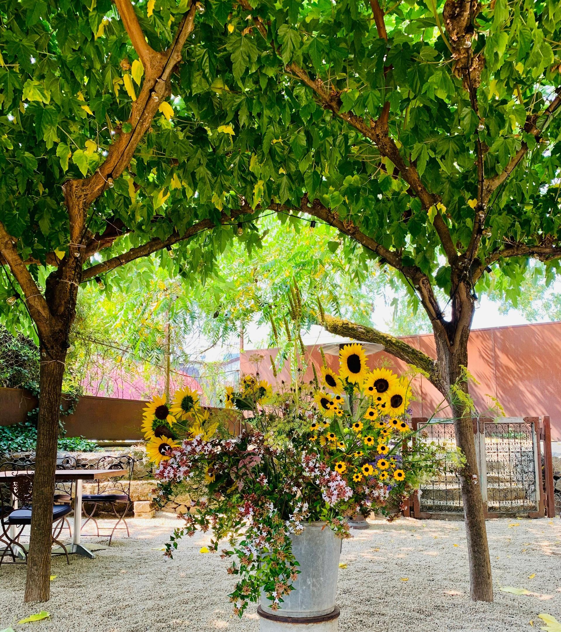 Barndiva Garden