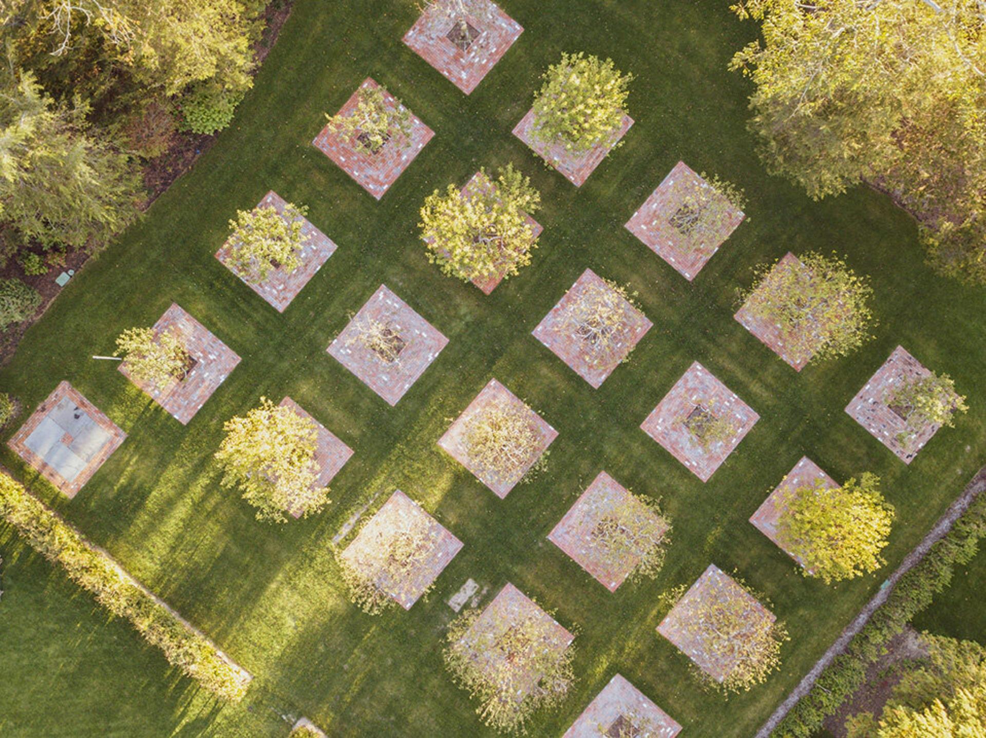 The Orchard